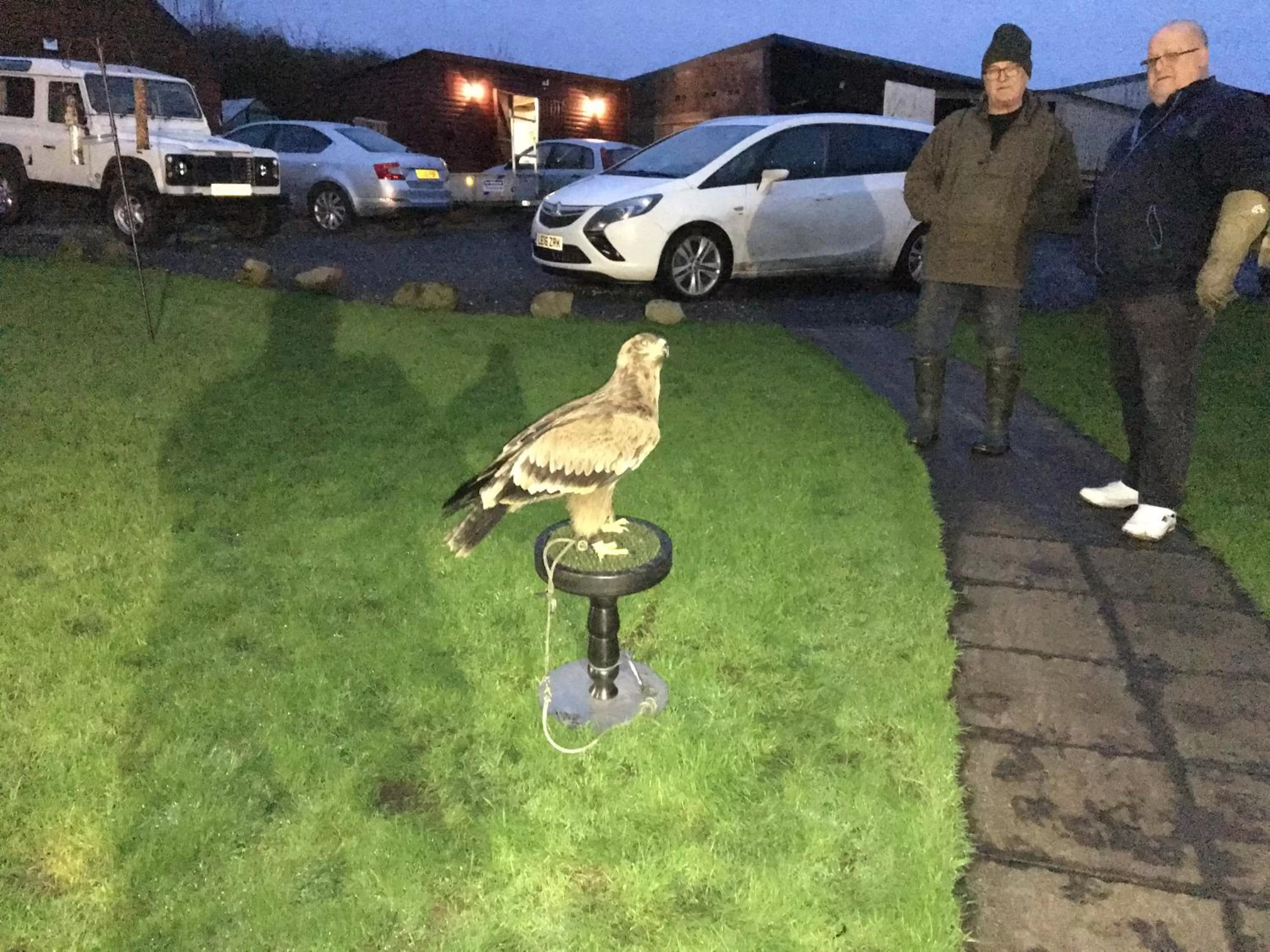 Guests in Beudy Bach