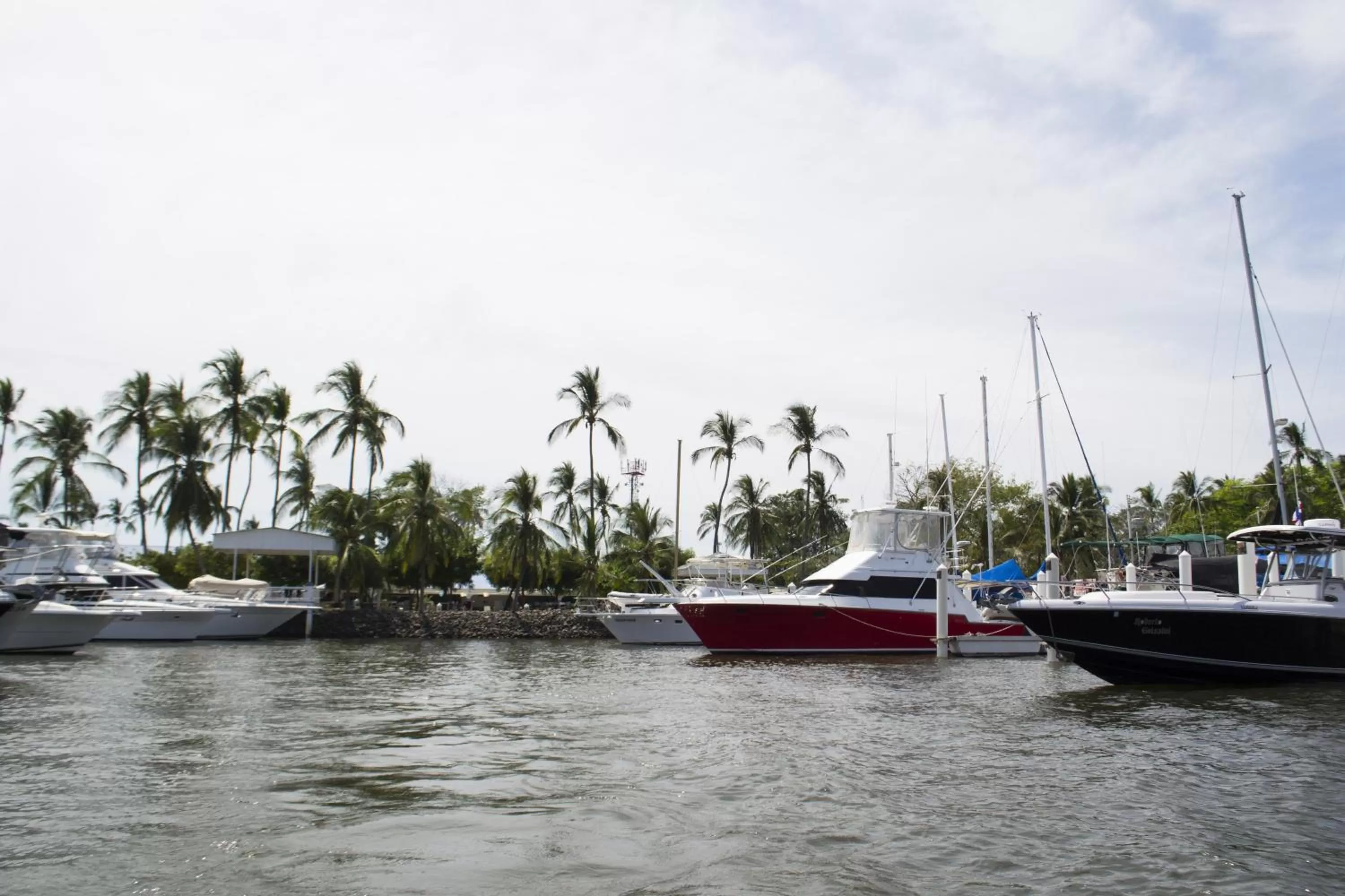 Sea view in Puerto Azul Hotel