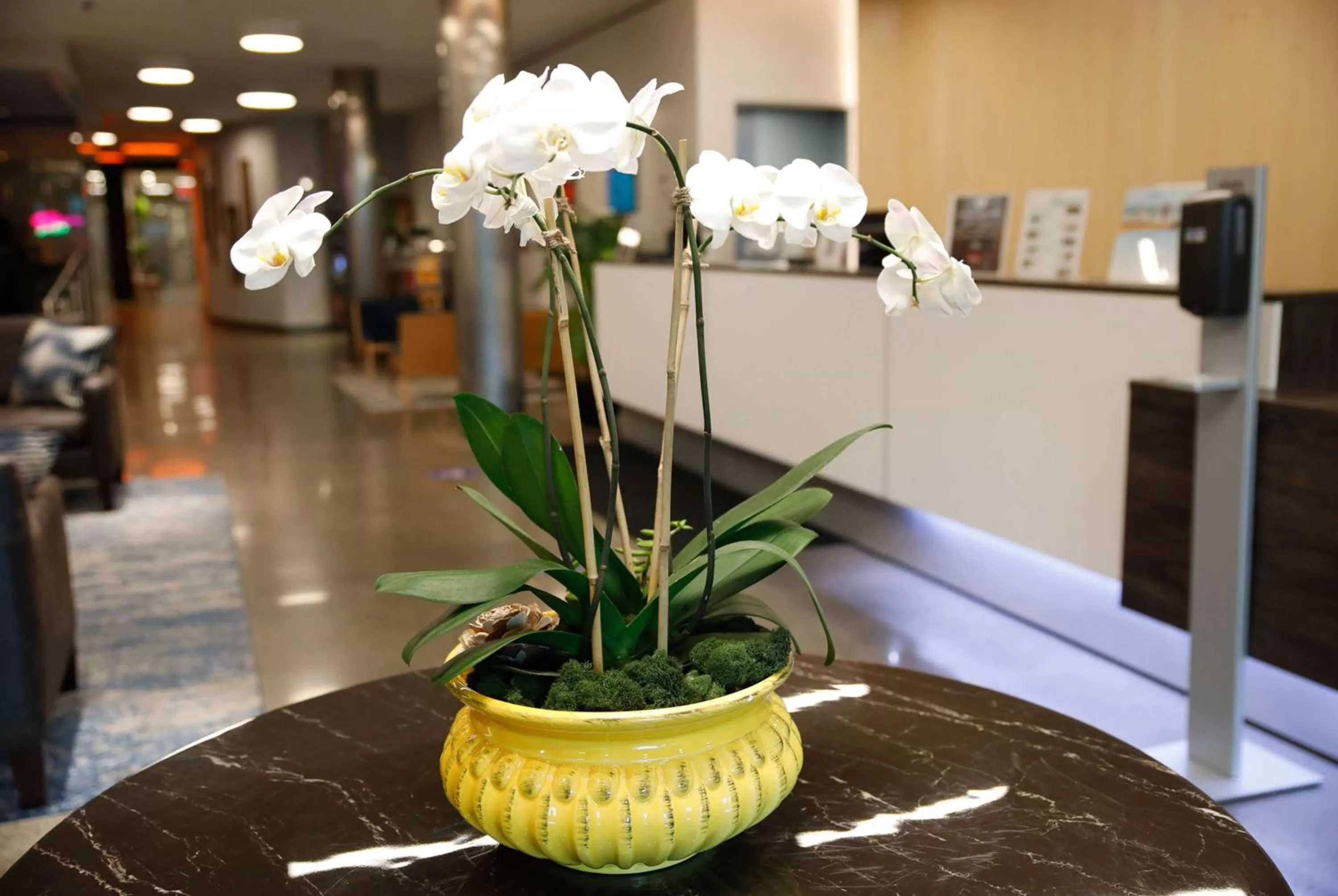 Other in Wingate by Wyndham Bronx Haven Park