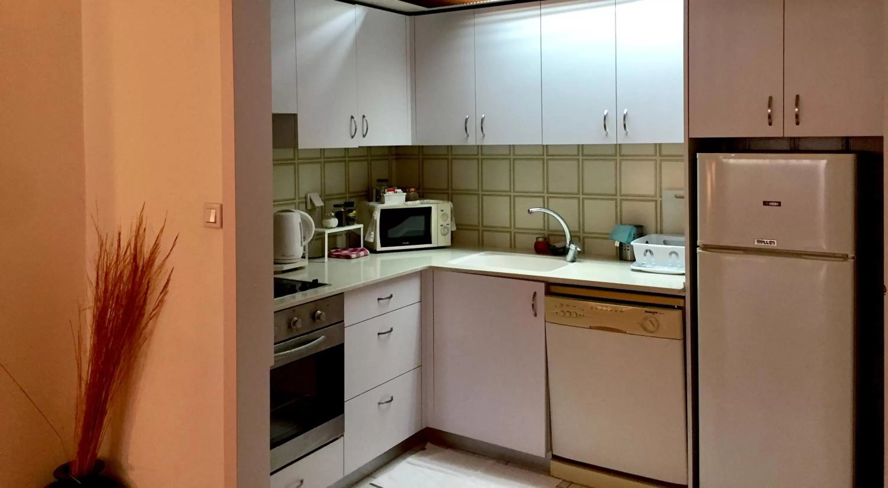Kitchen or kitchenette, Kitchen/Kitchenette in Raphael Apartments