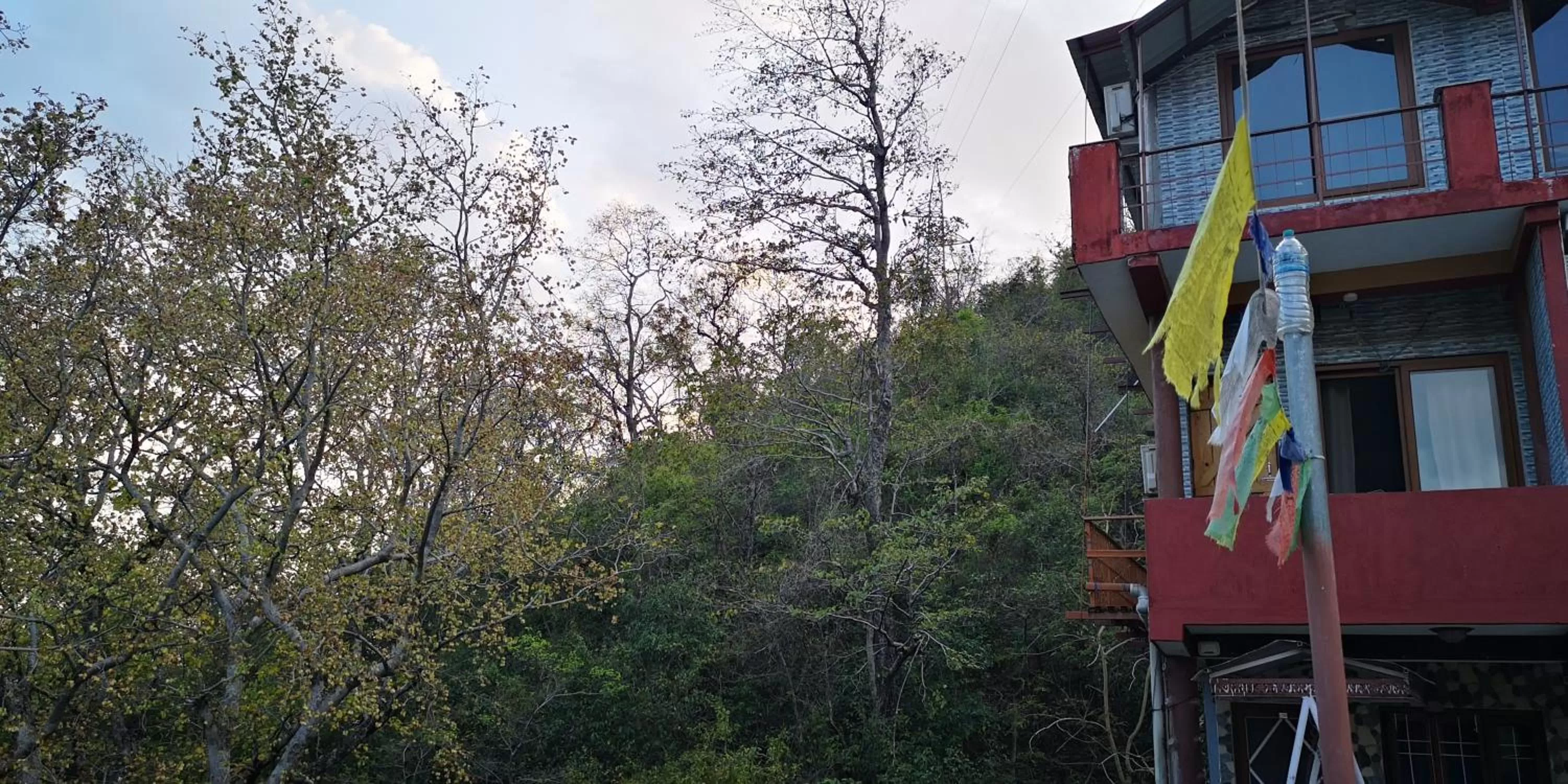 Property building in Hill Top Swiss Cottage