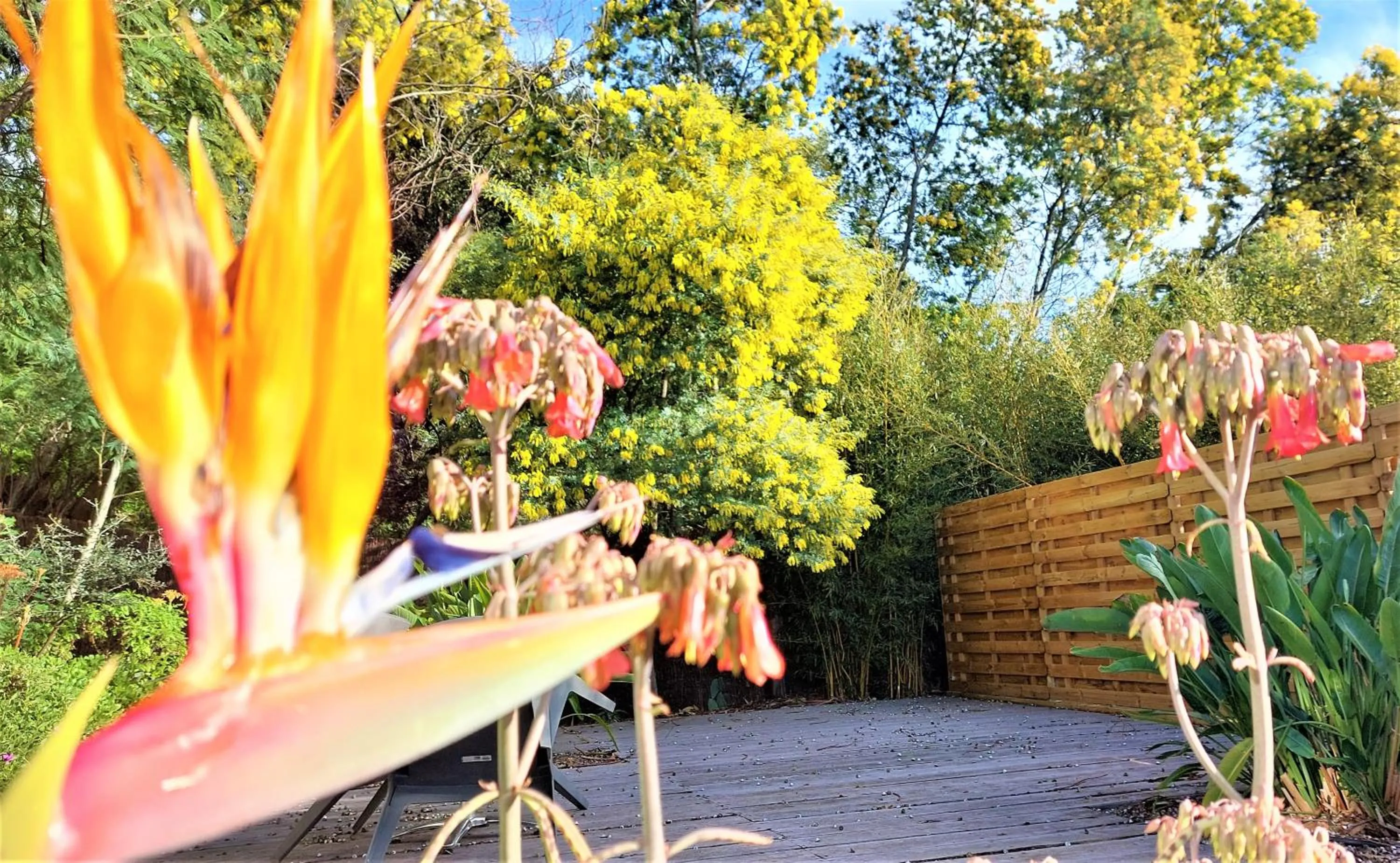 Garden in Les Jardins de Bormes, hôtel adult only avec sauna & jacuzzi