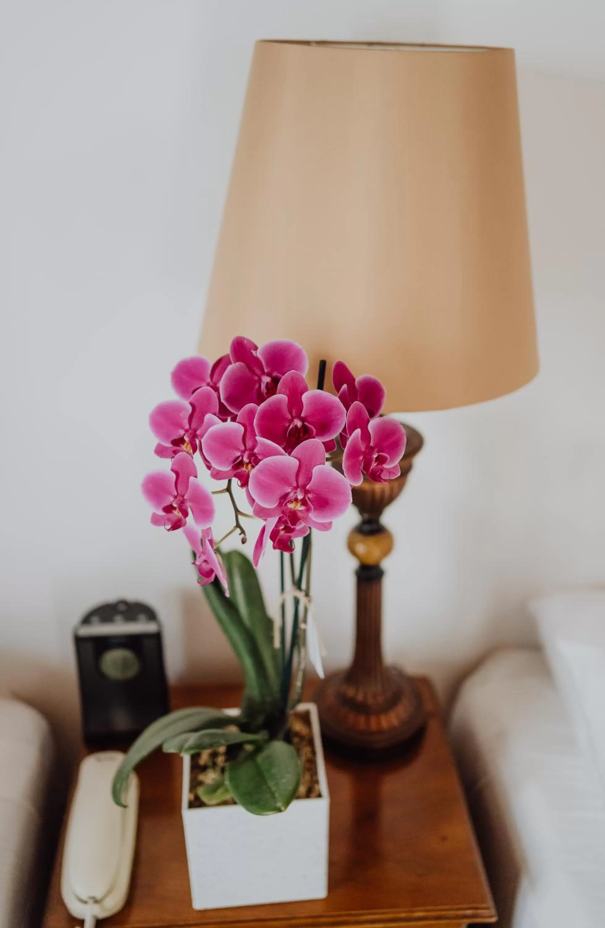 Bedroom in Hotel Dunn Inn