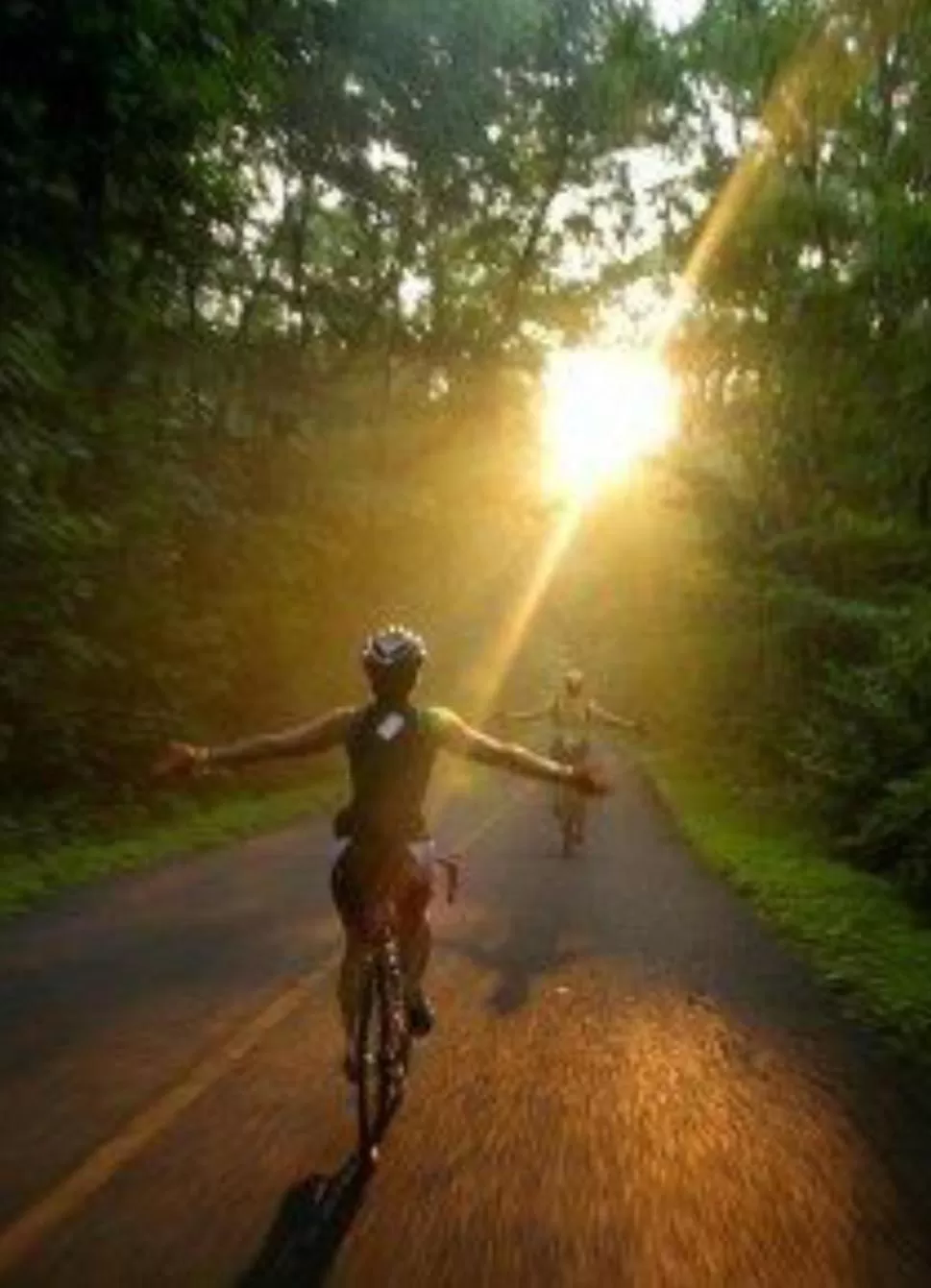 Cycling in BULC Boutique Bed & Breakfast