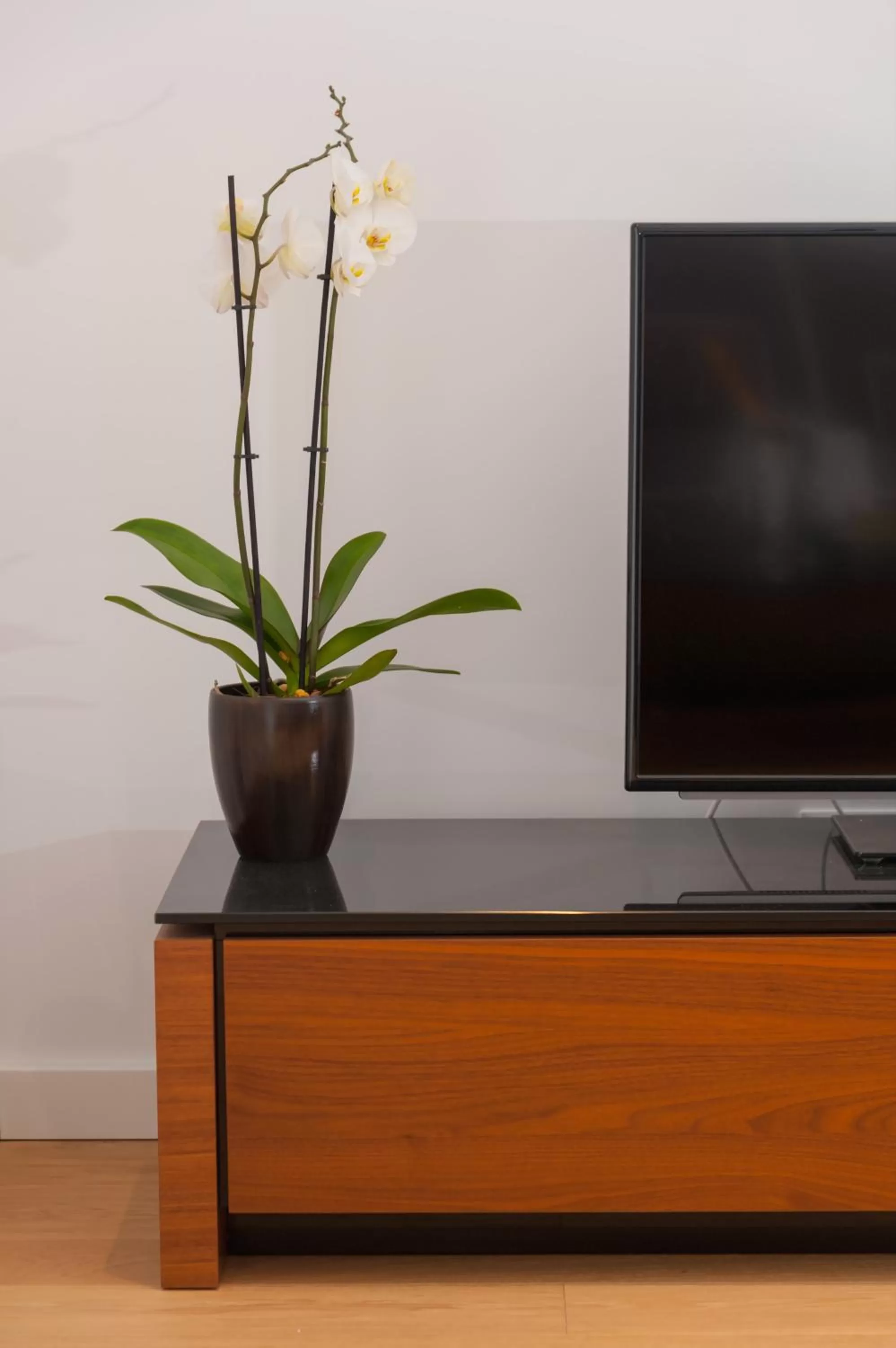 Decorative detail in Residence by Vestibul Palace