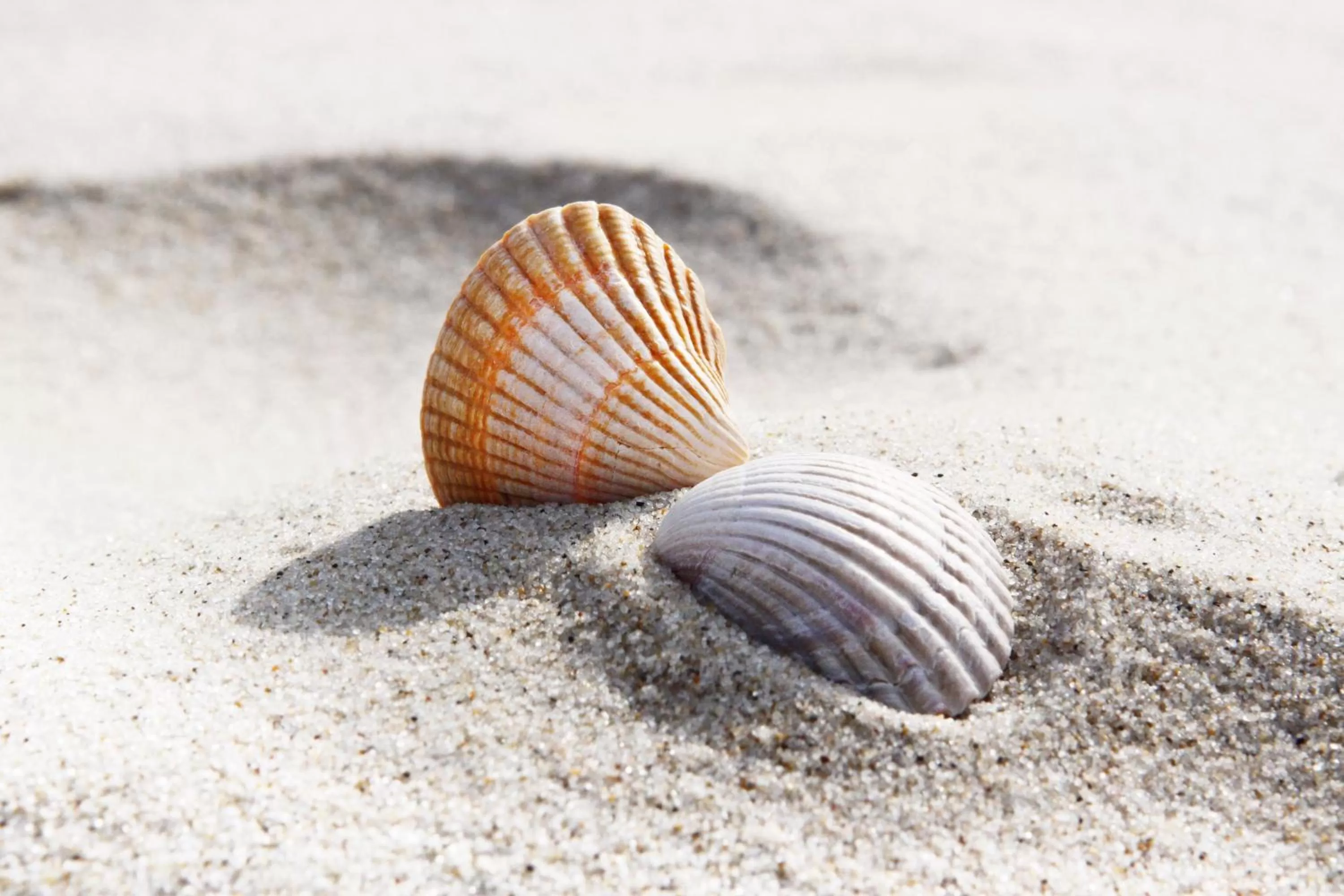 Location in B&B Vloedlijn Texel