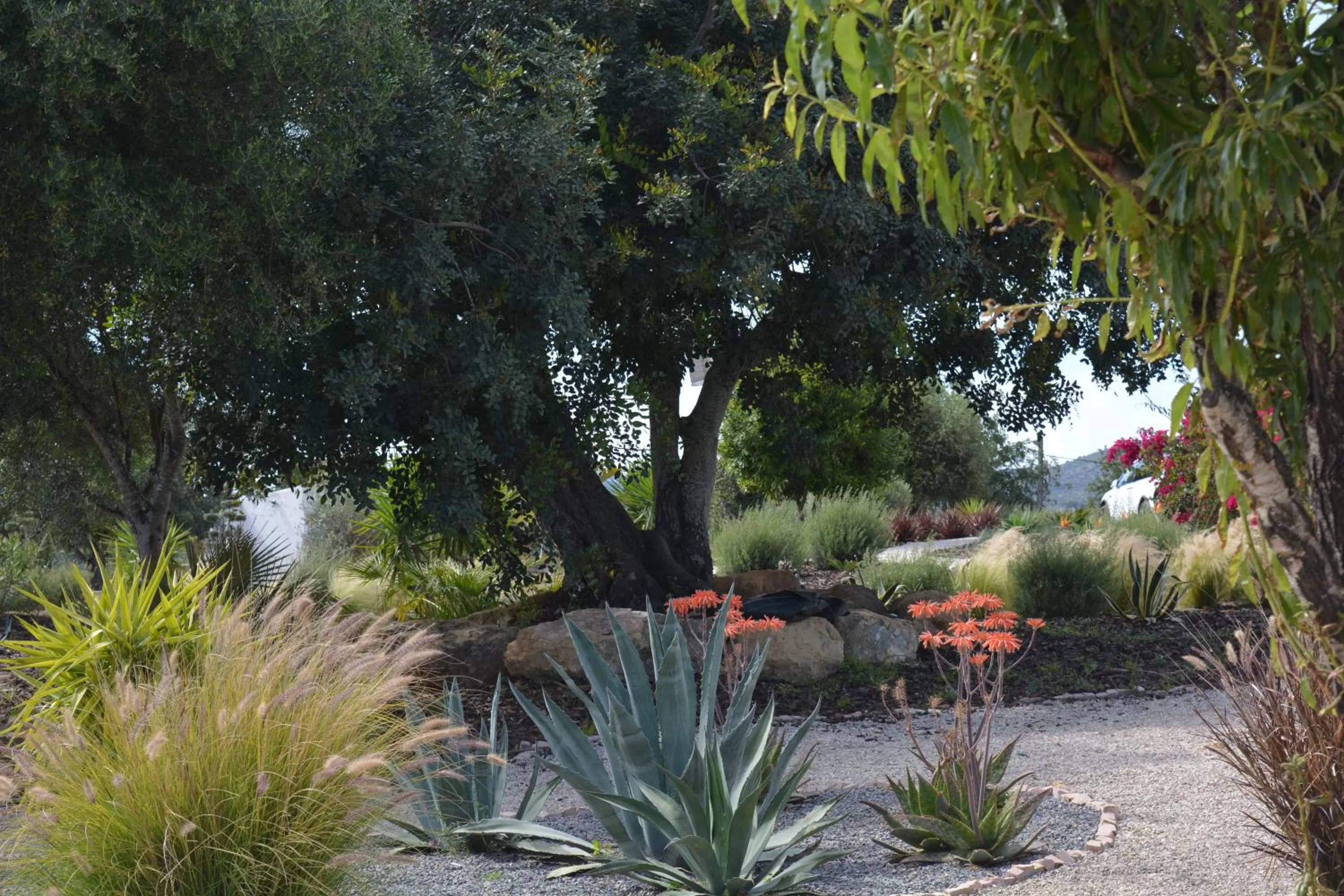 Garden in Quinta Luz do Sol