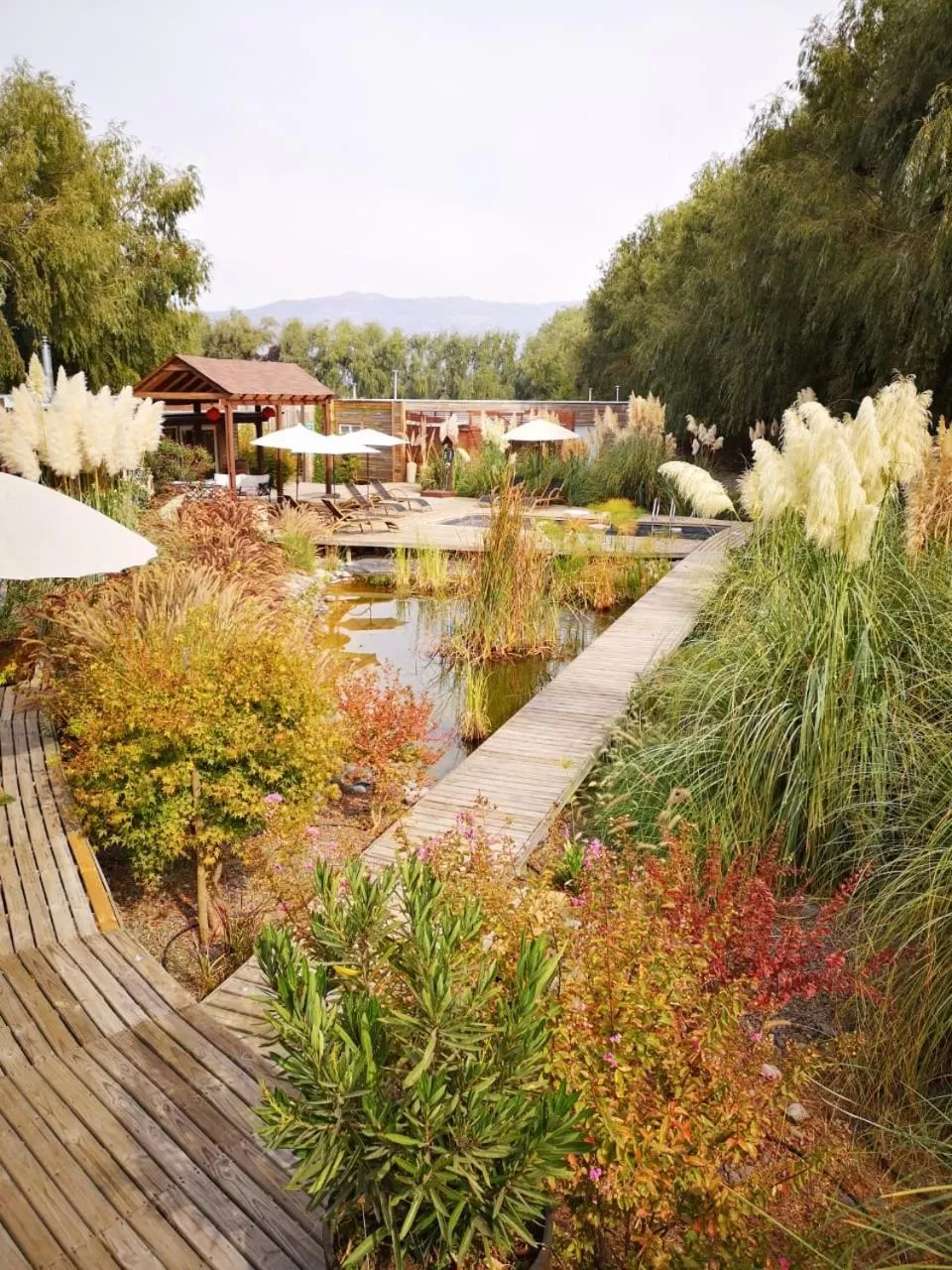 Garden view in Barrica Lodge
