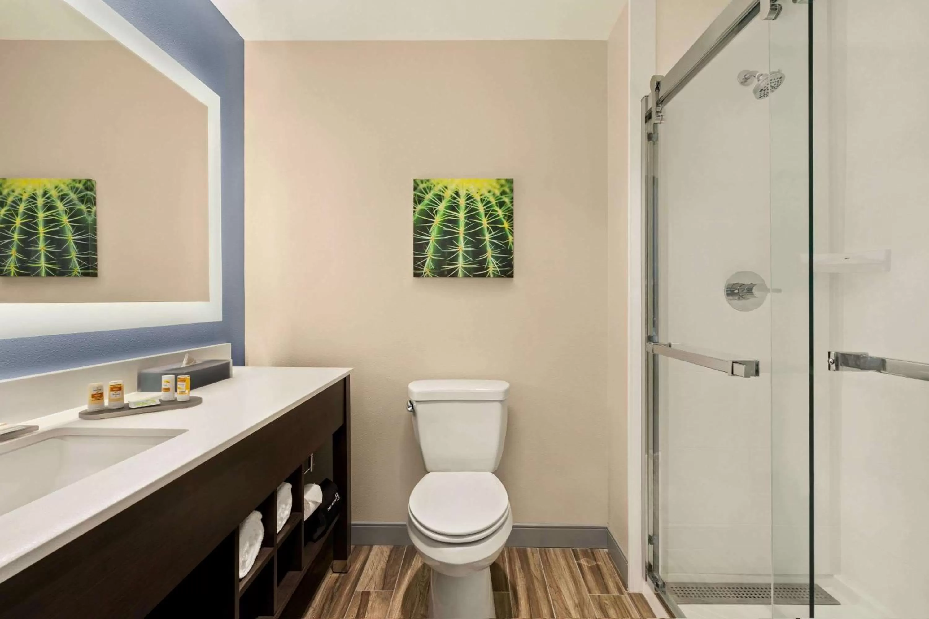 Bathroom in La Quinta Inn & Suites by Wyndham San Bernardino