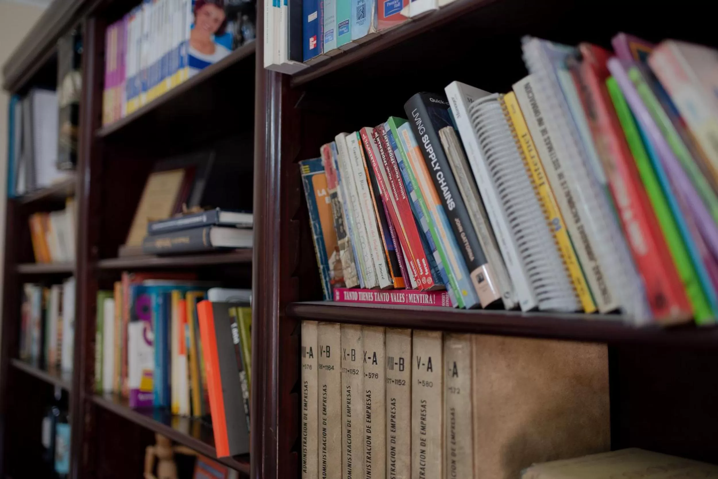 Library in Juana Banana Bed and Breakfast