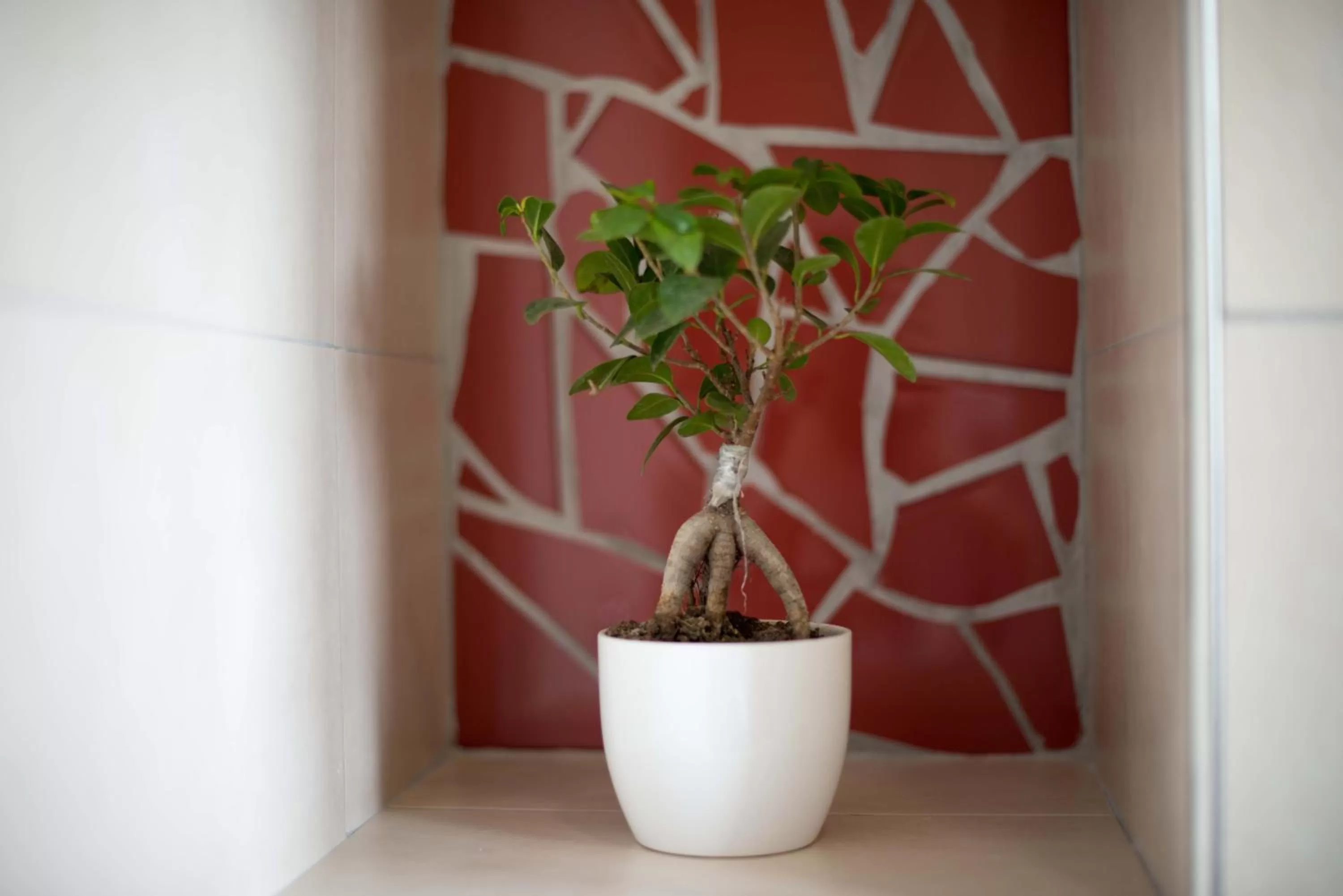 Decorative detail in Nolana '86