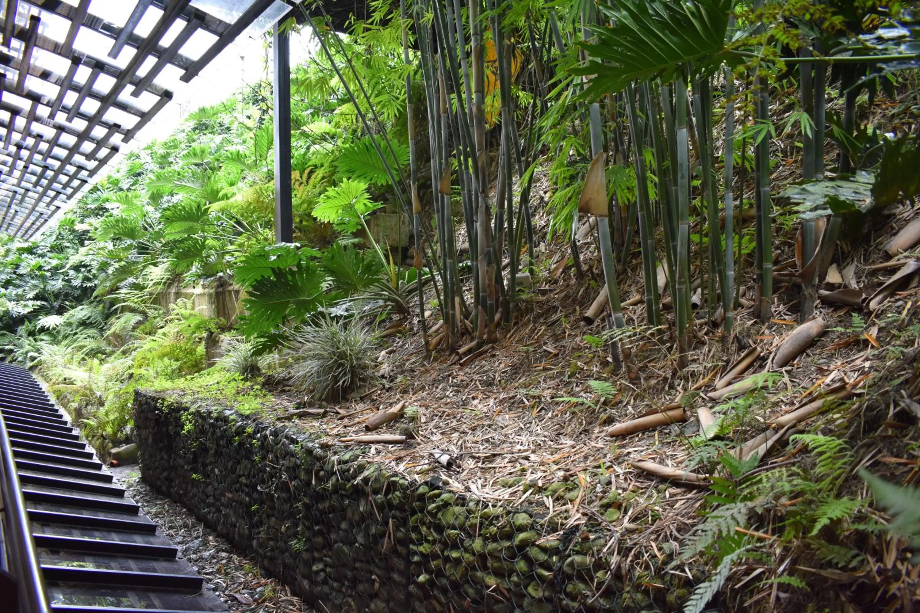 Other in Hotel Bambu Inn