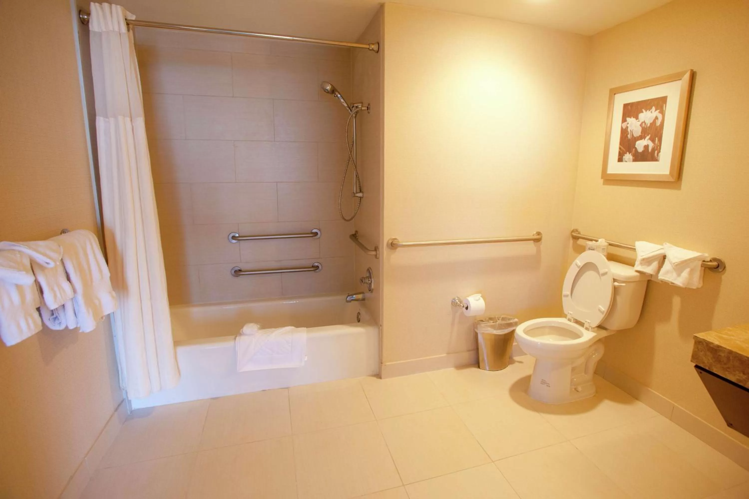 Bathroom in Midland Plaza Hotel