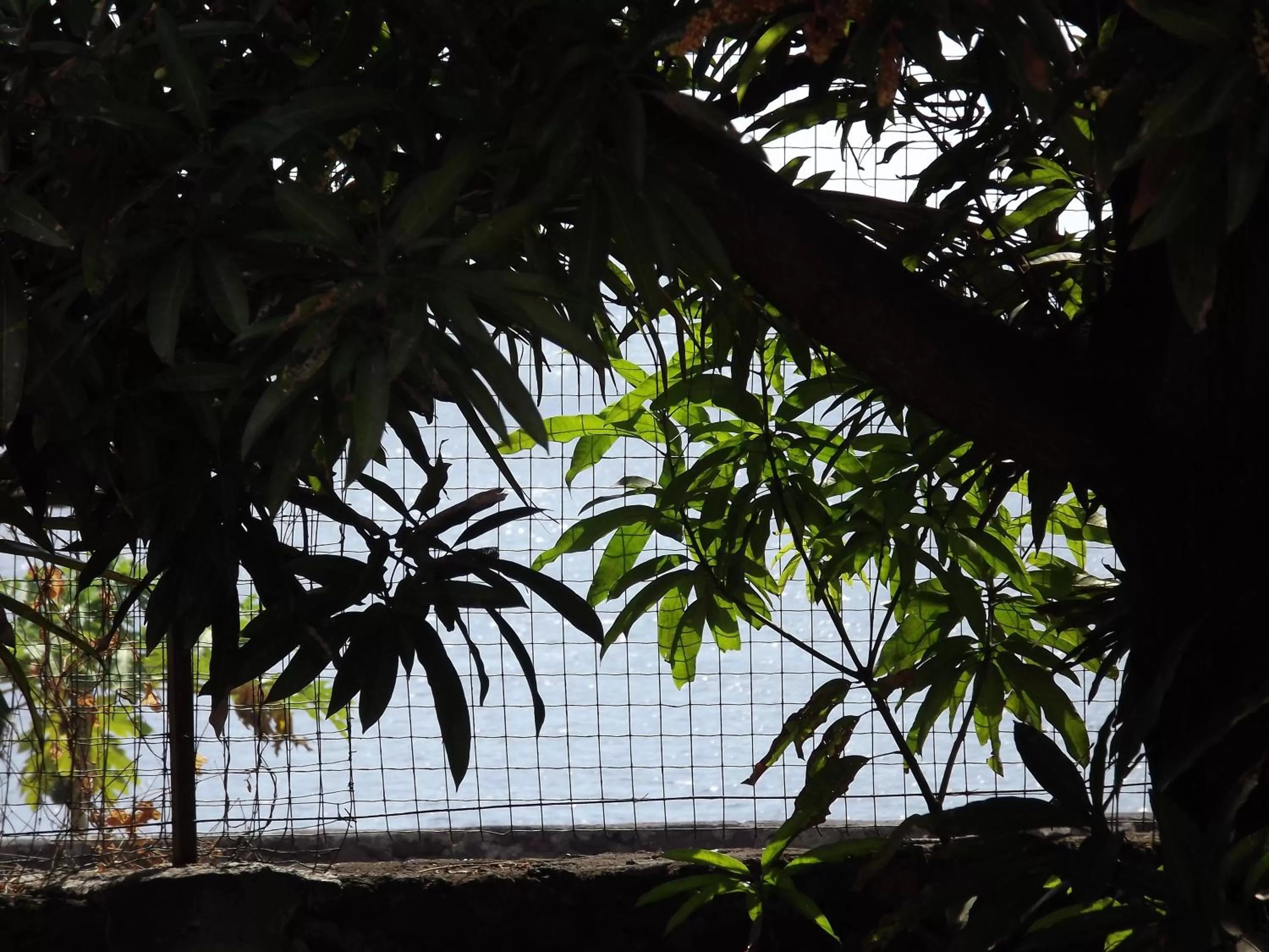 Sea view in Hôtel La Grillade