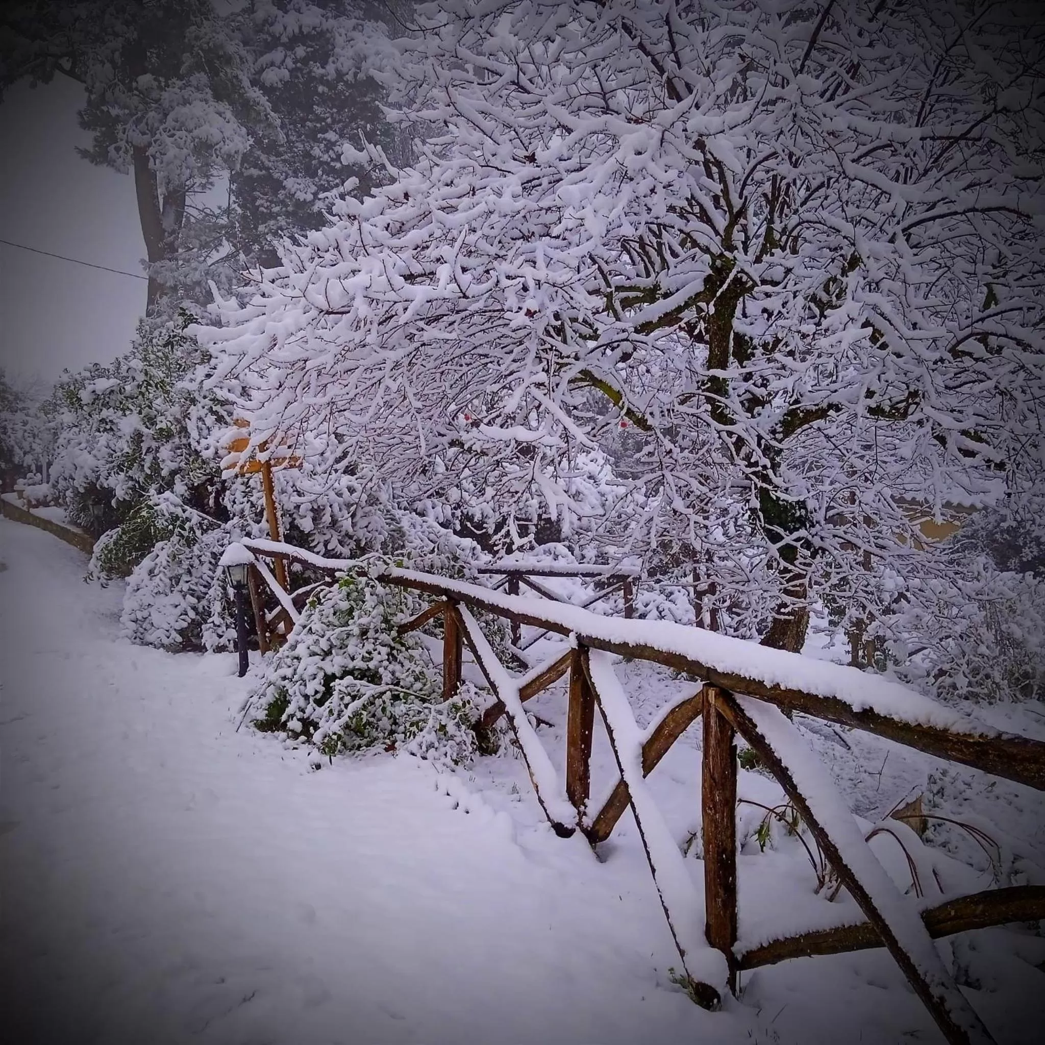 Natural landscape in Monastero Le Grazie
