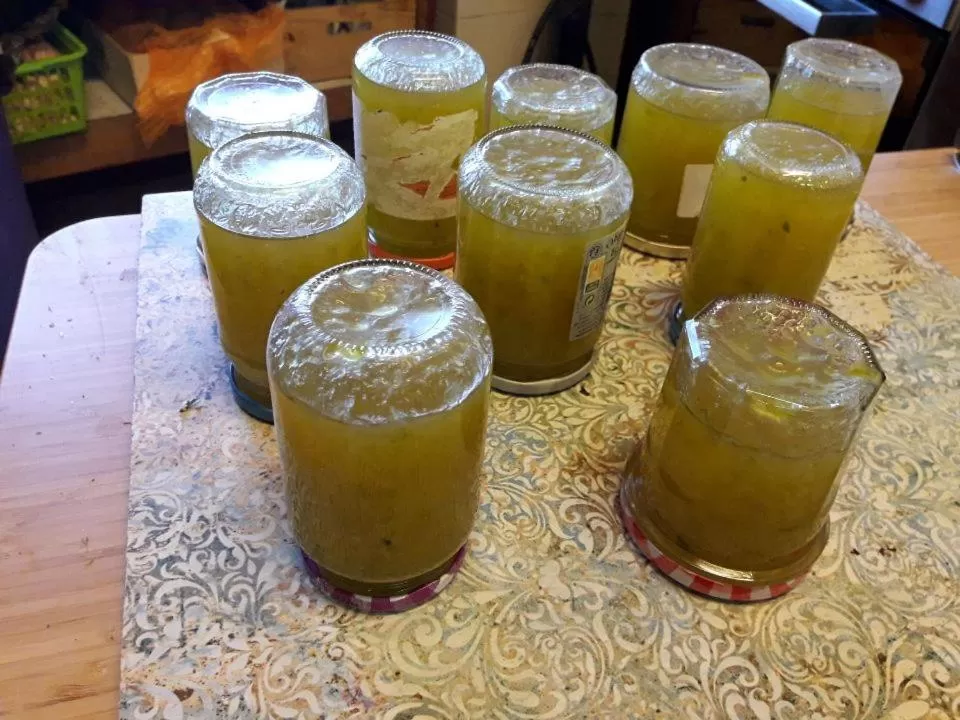 Food in Chambres d'hôtes Belle Occitane