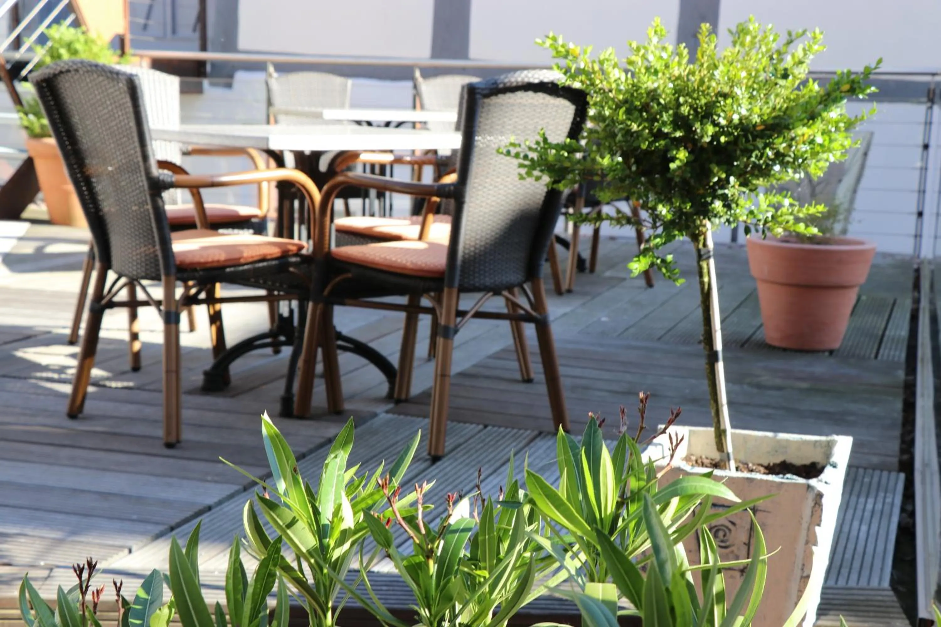 Balcony/Terrace in Hotel Arminius