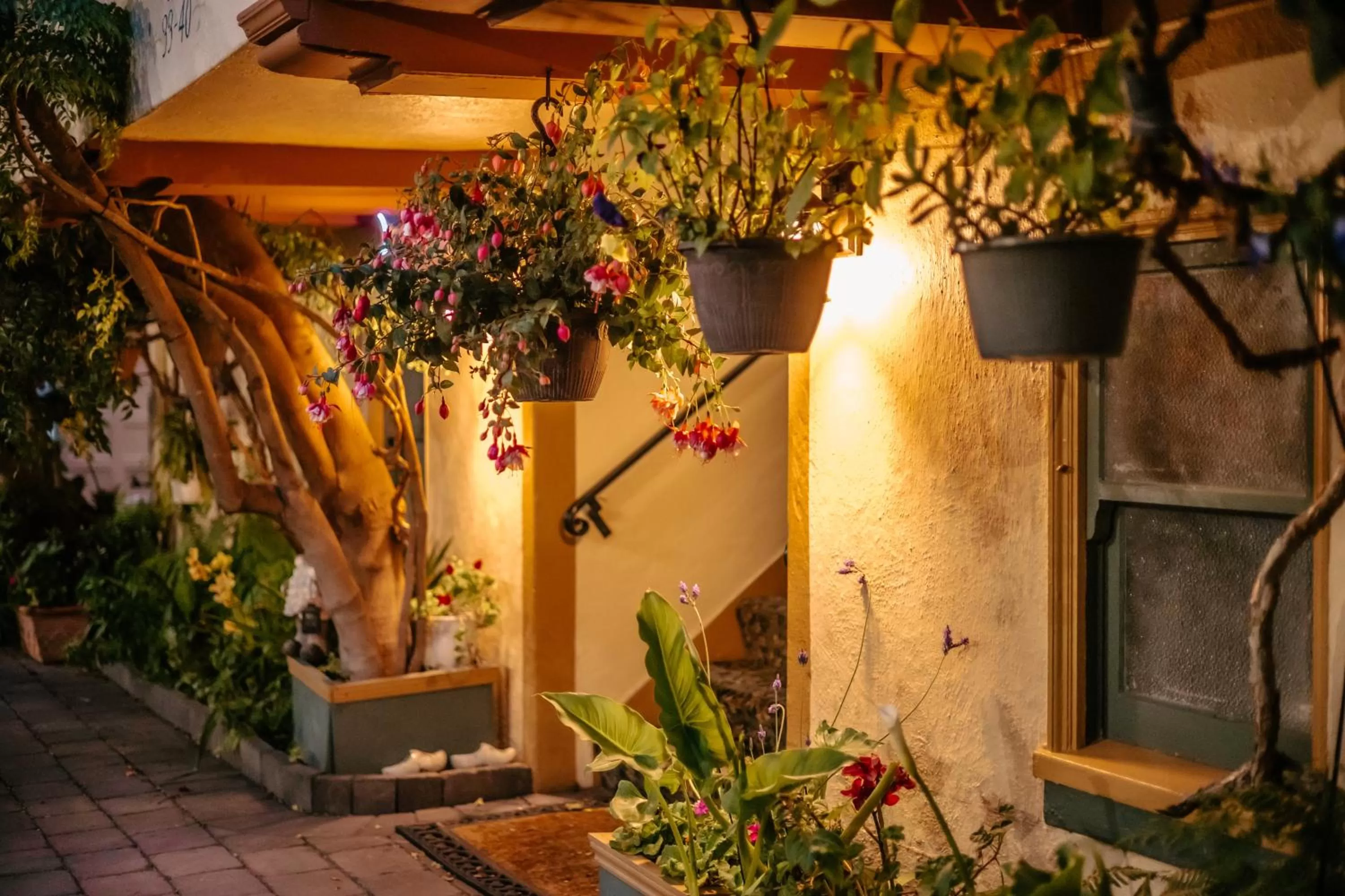 Night in Marina Motel