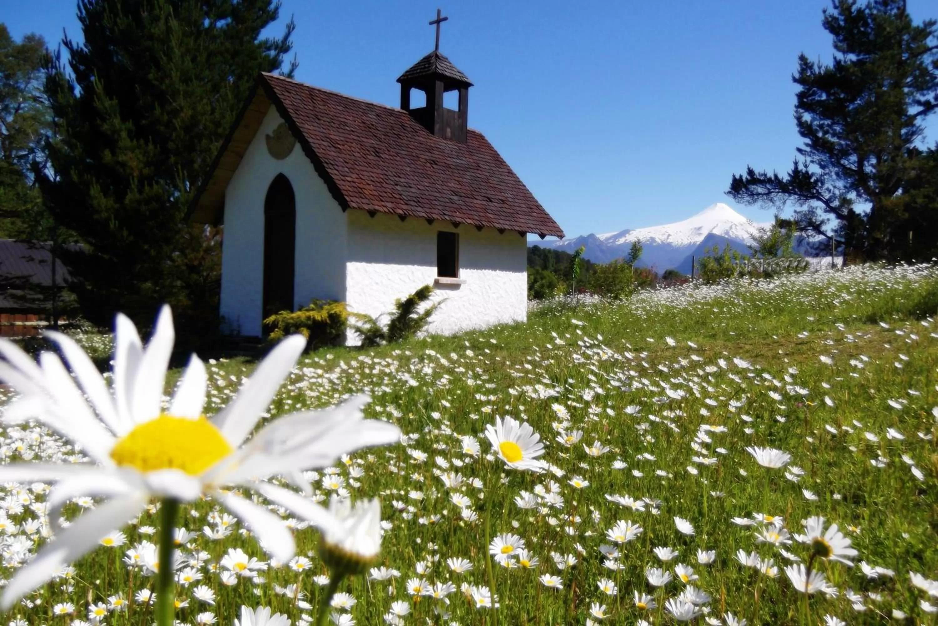 Garden, Property Building in Hotel Salto del Carileufu