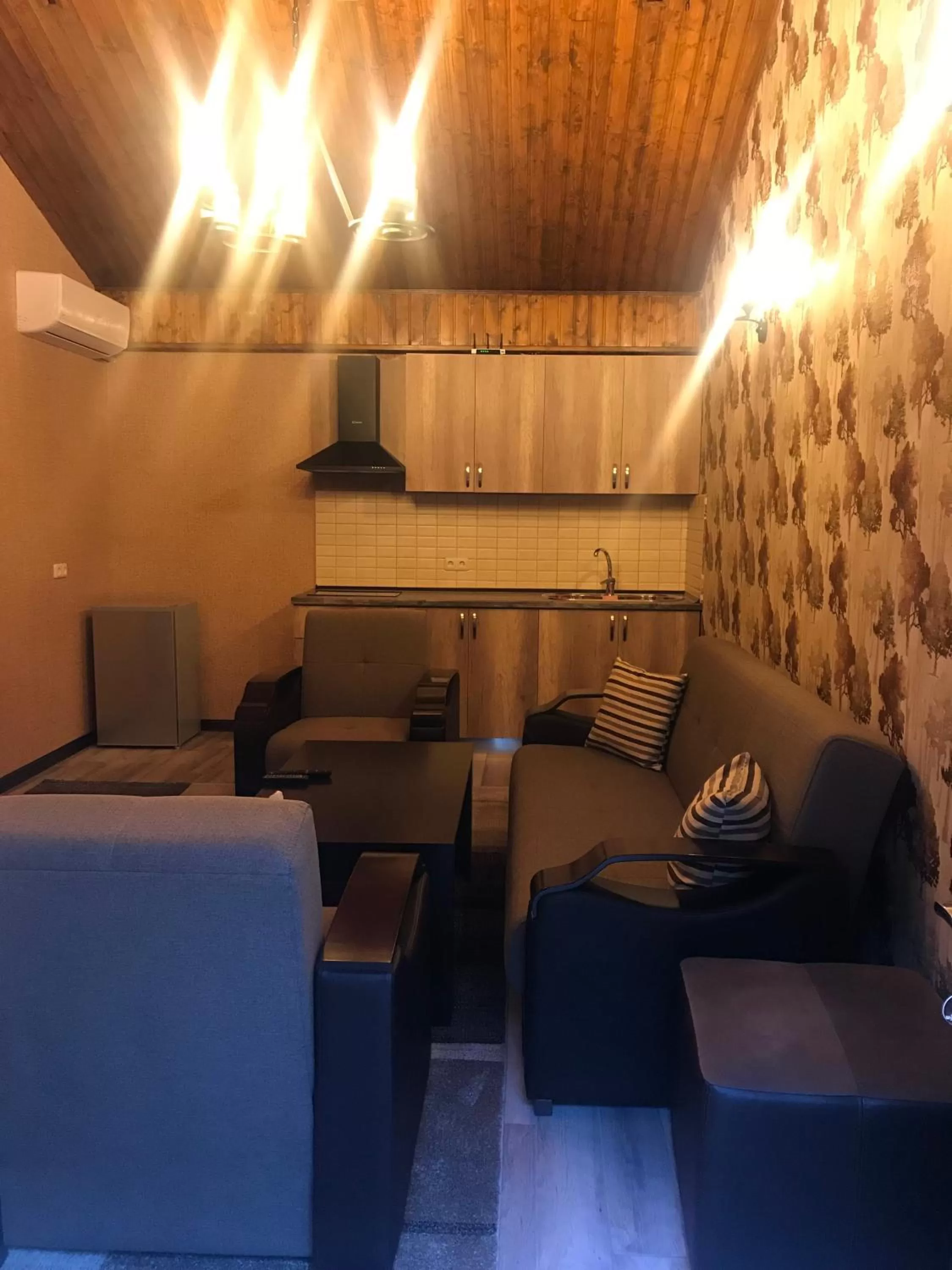 Kitchen or kitchenette, Seating Area in Eridana Hotel