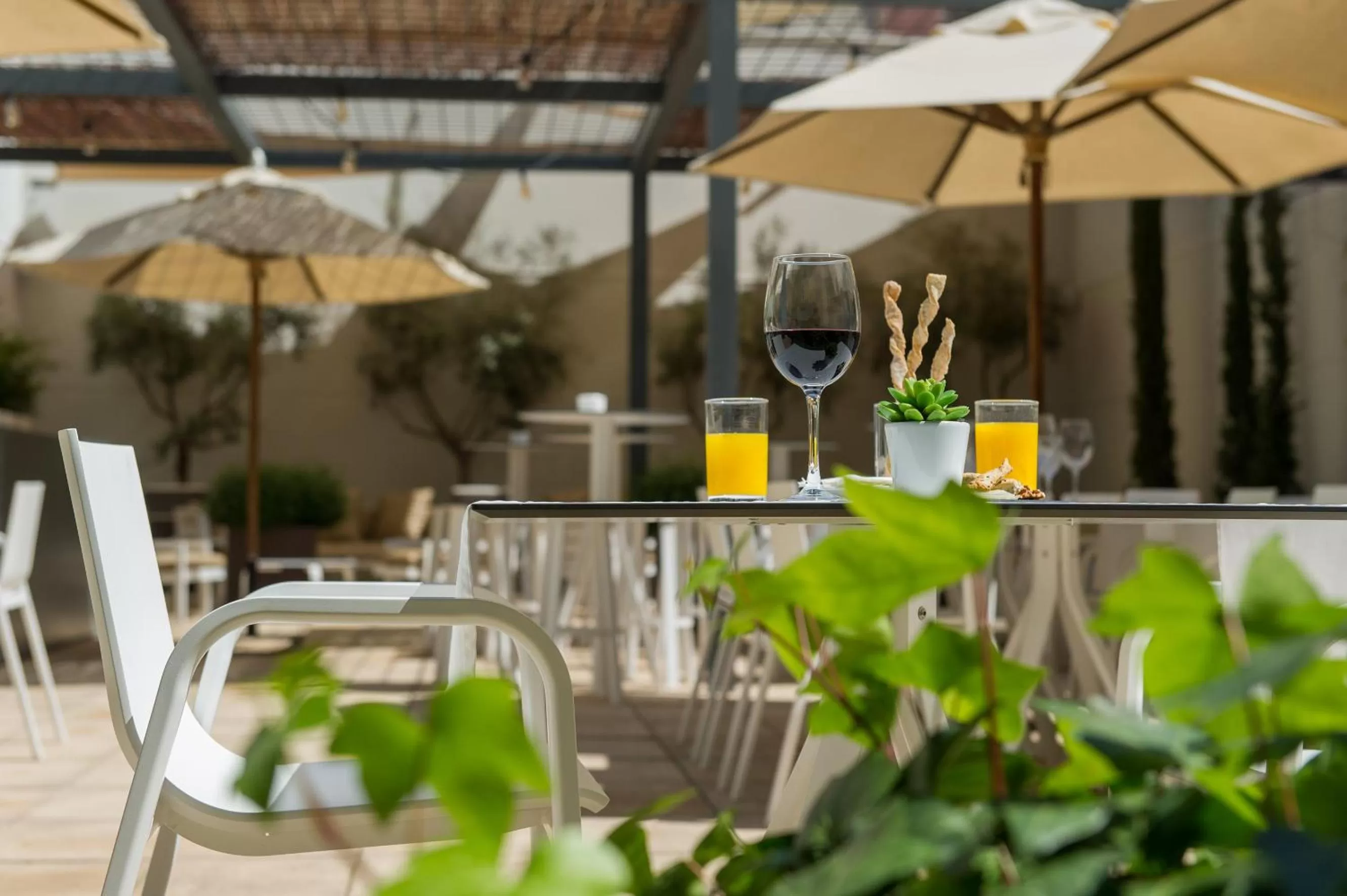 Drinks in Hotel Vilamarí