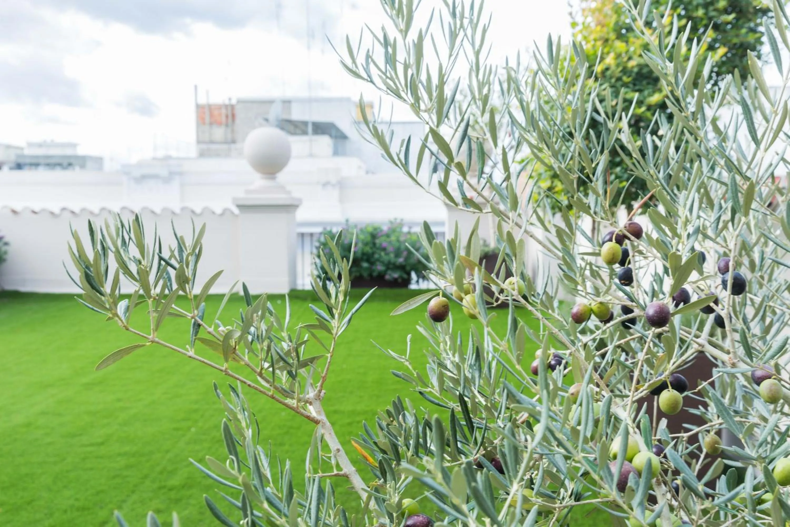 Garden in 200 ROOMS & TERRACE