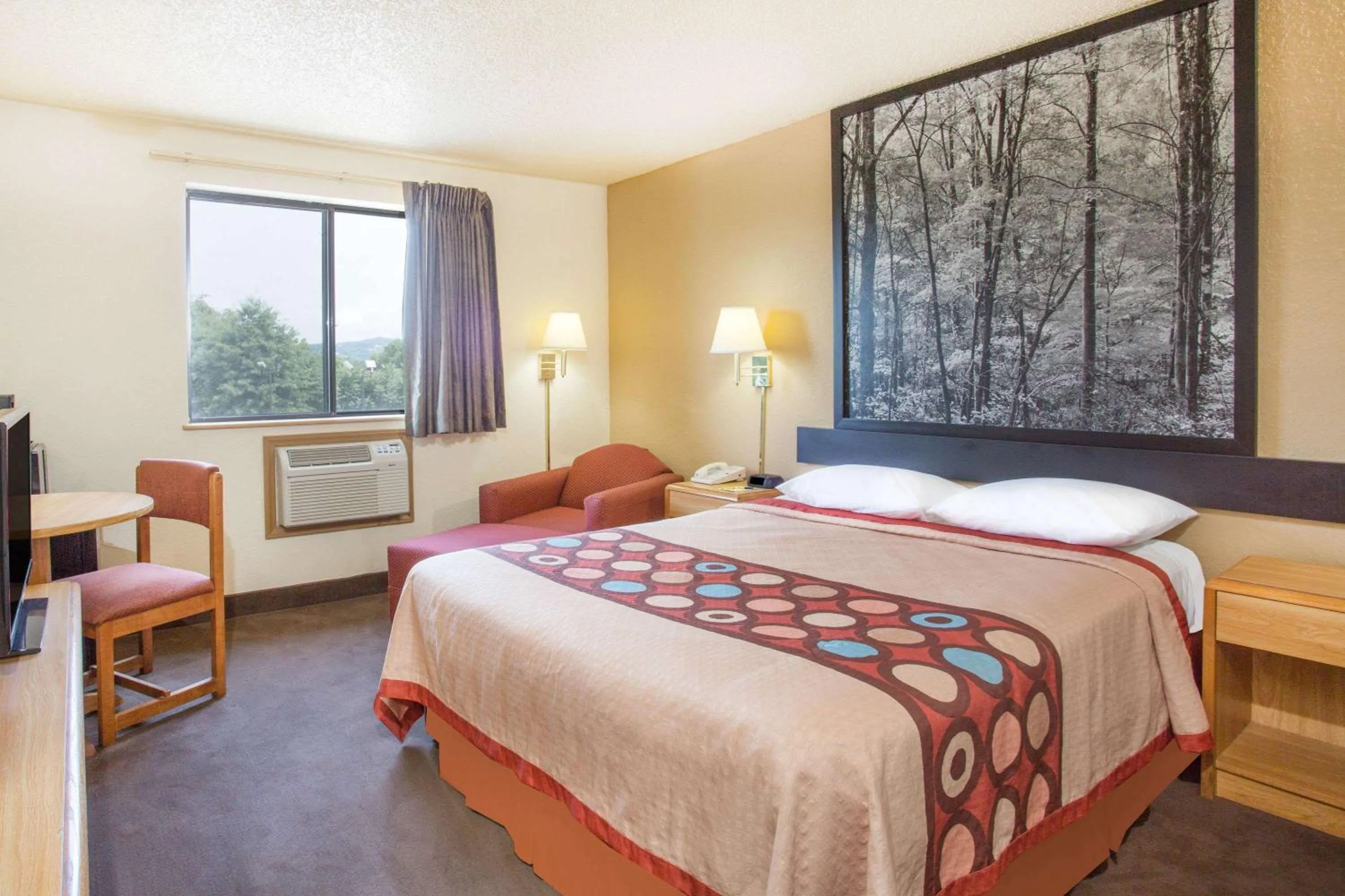 Photo of the whole room, Bed in Super 8 by Wyndham Lexington VA