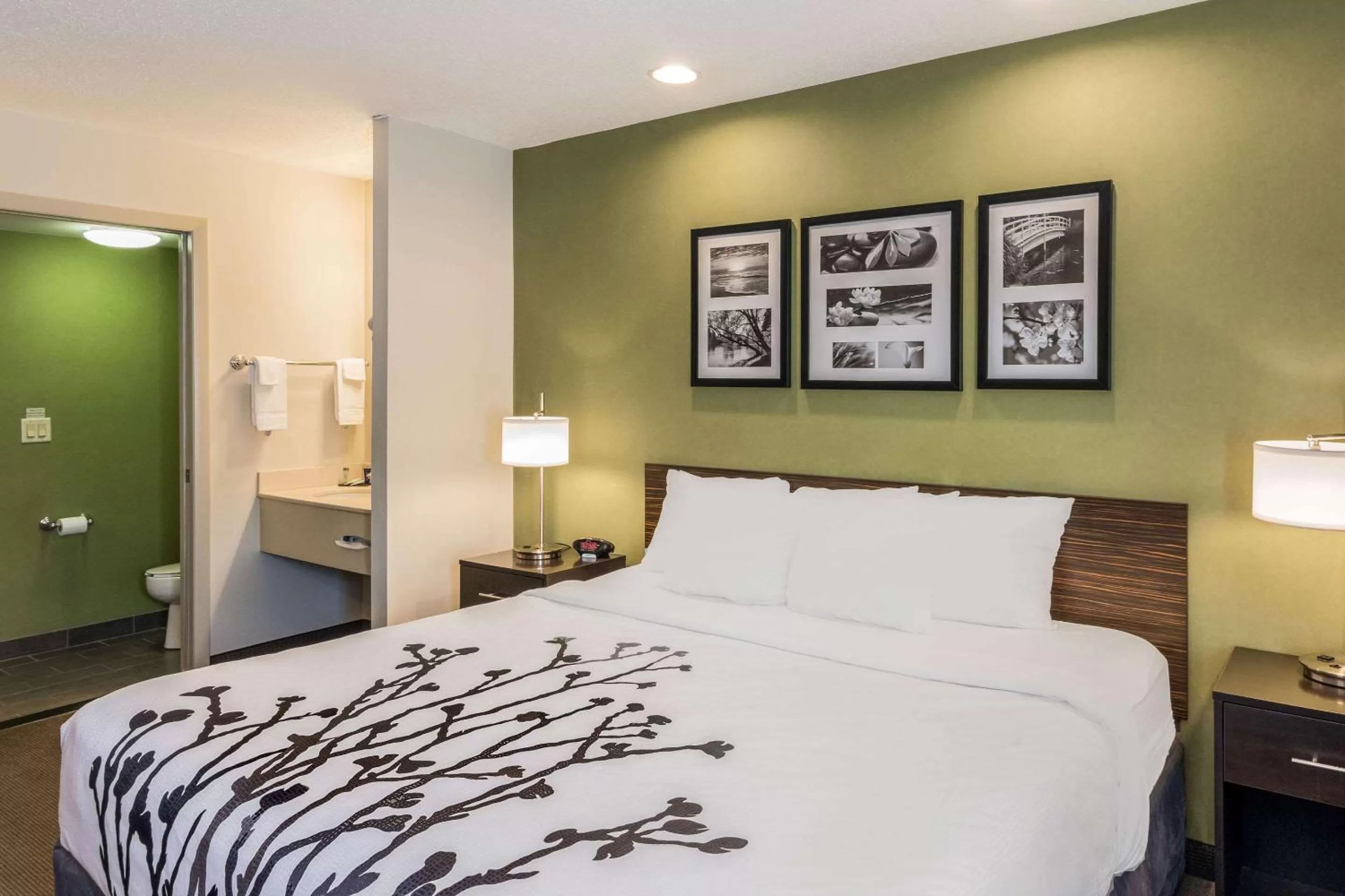 Photo of the whole room, Bed in Sleep Inn & Suites Niantic North