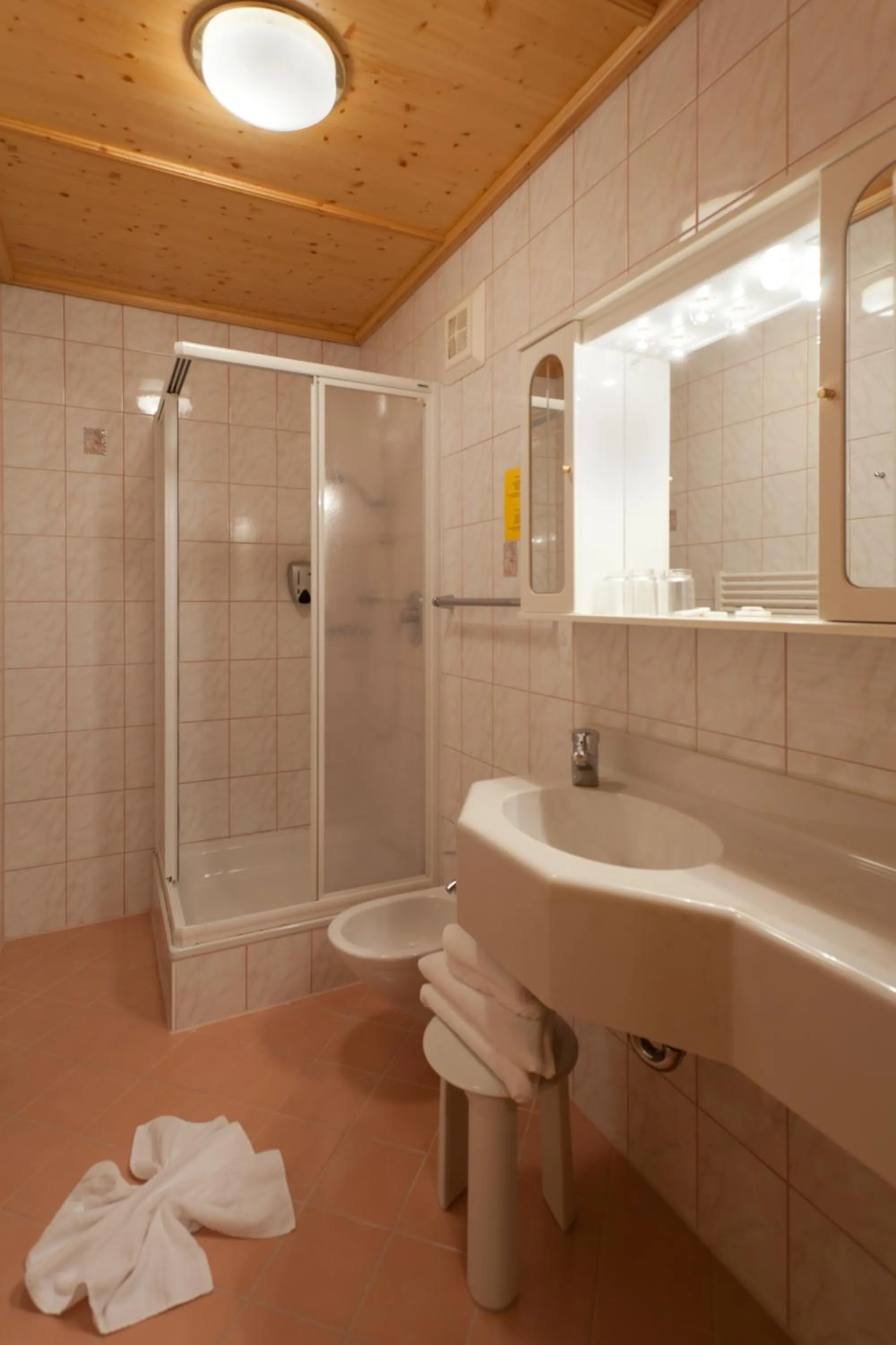 Standard Double Room in Hotel Vitaler Landauerhof