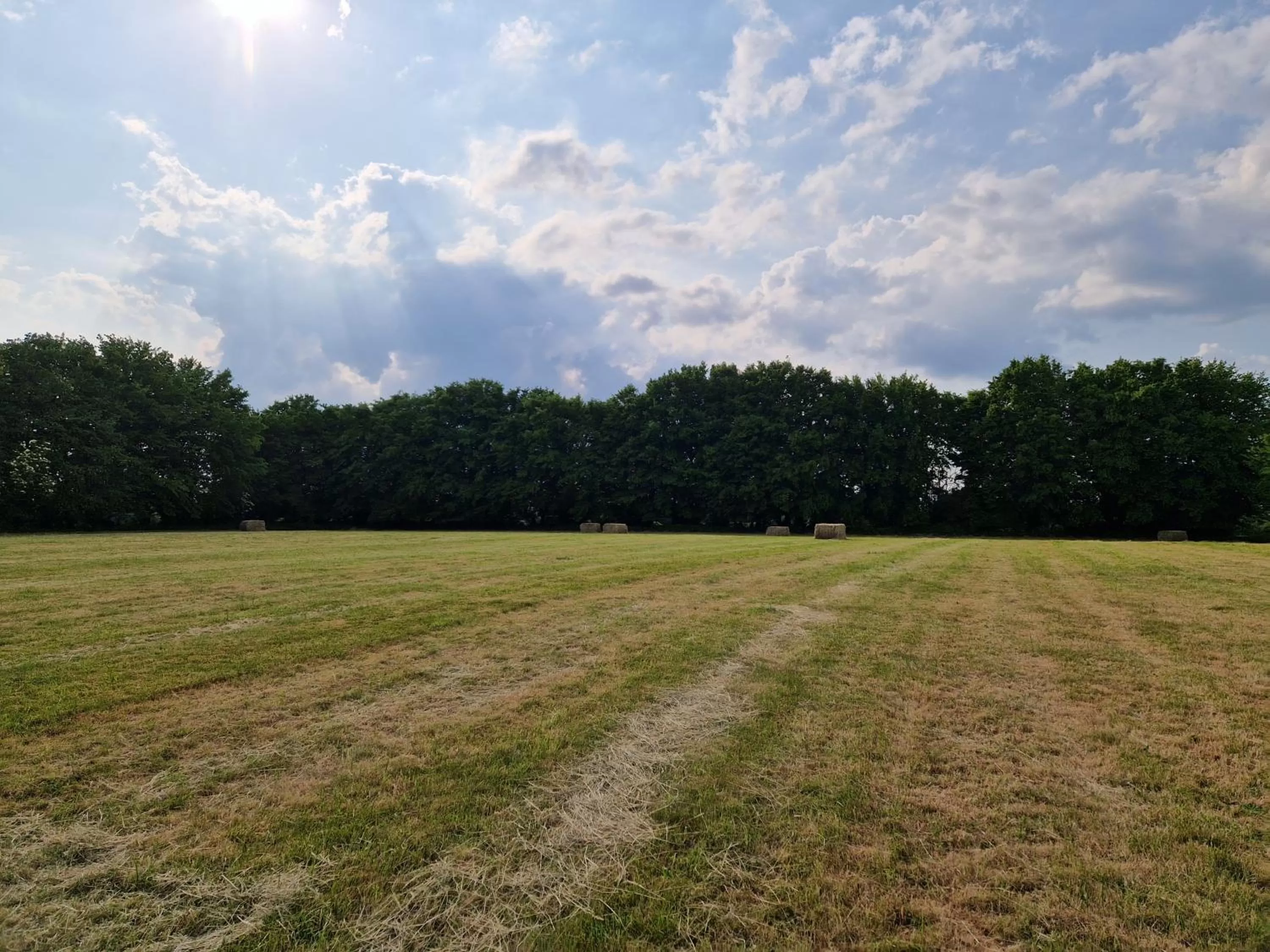 Natural Landscape in Habitat