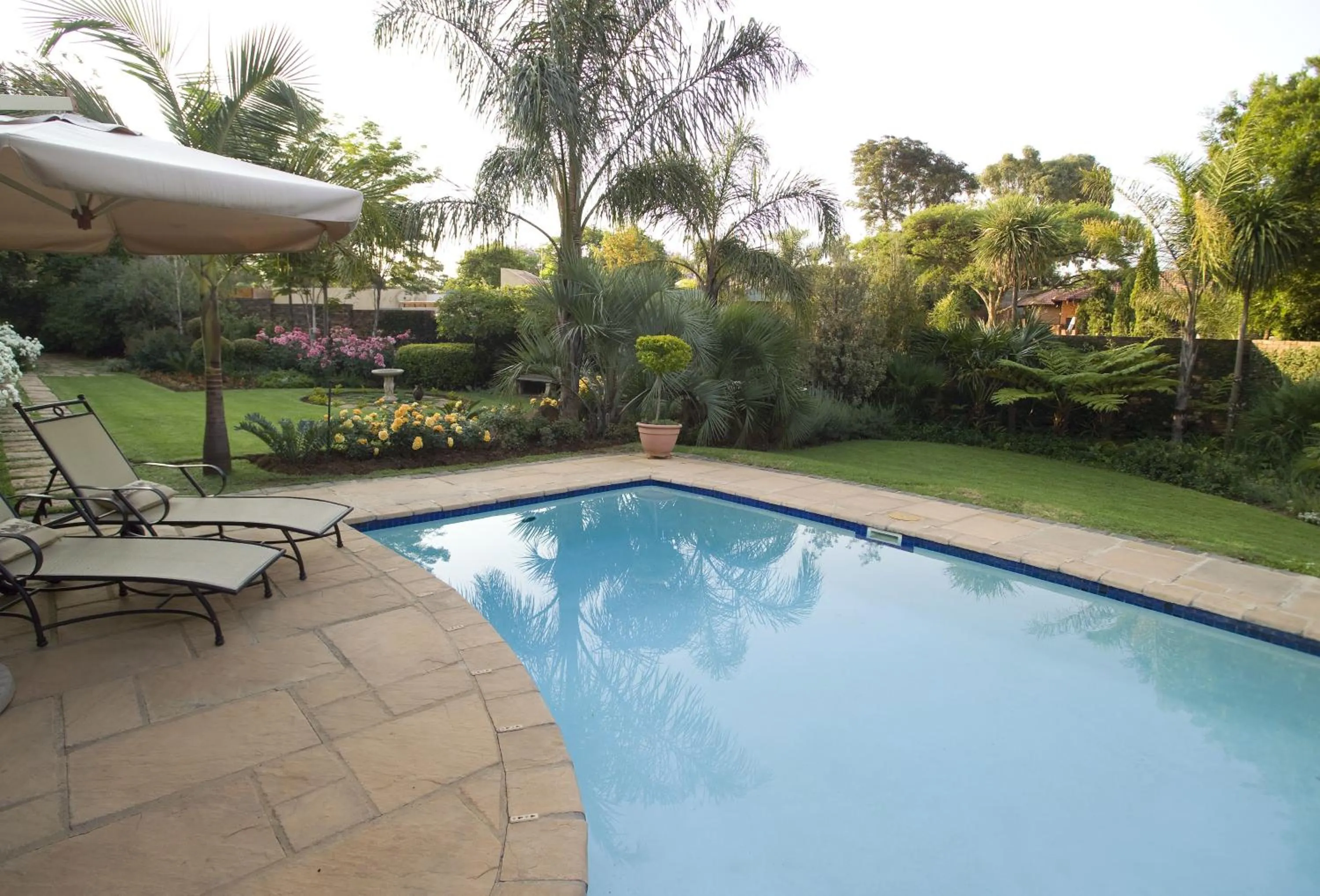 Swimming pool in Royal Ridge Guesthouse