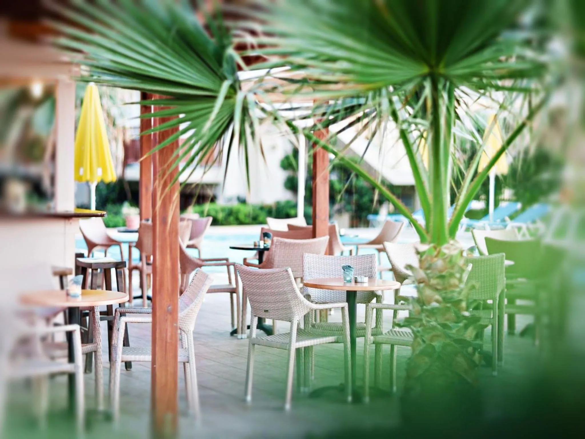 Lounge or bar in Ilian Beach & Apartments