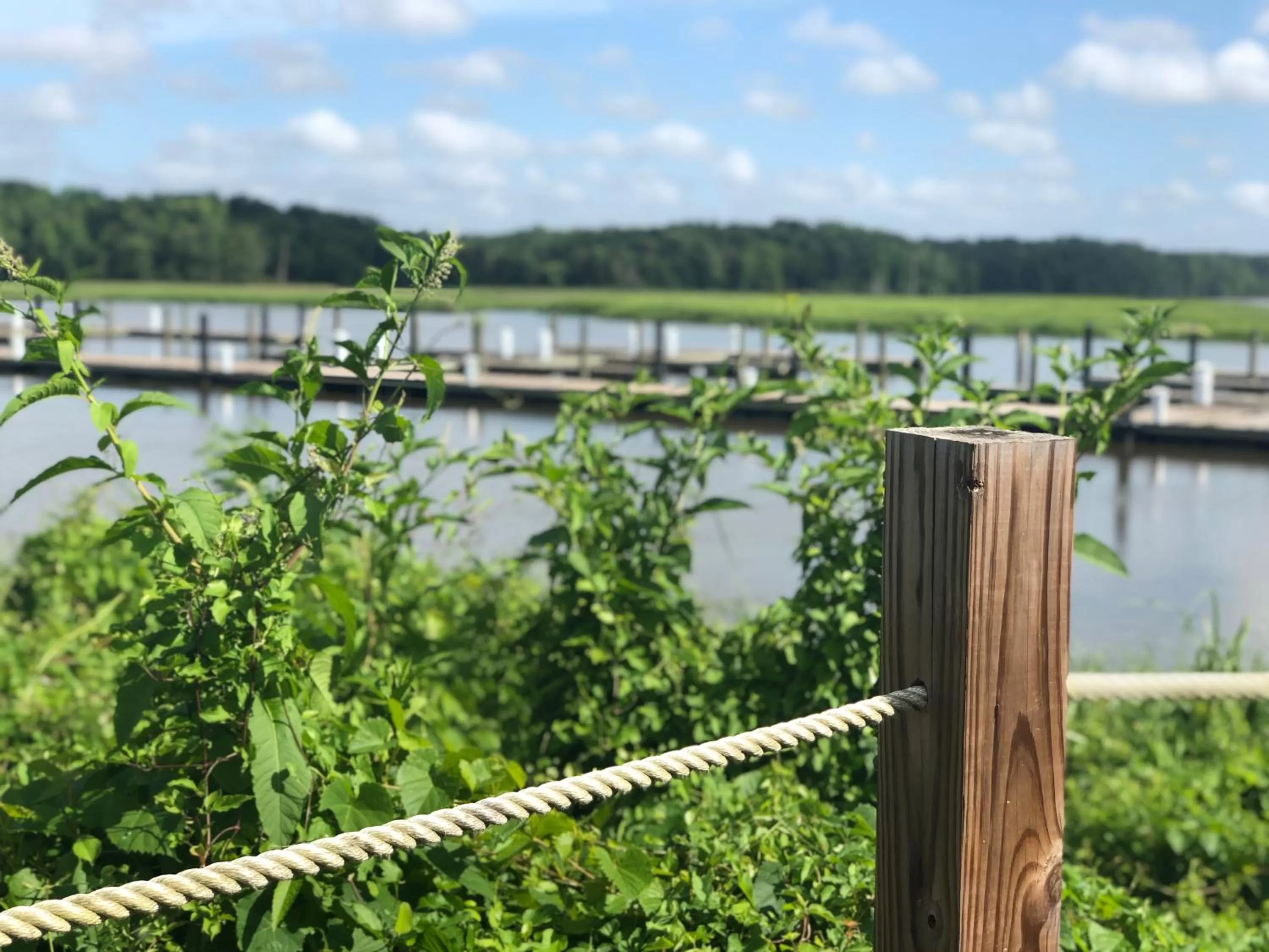 River view in Surry Seafood Company