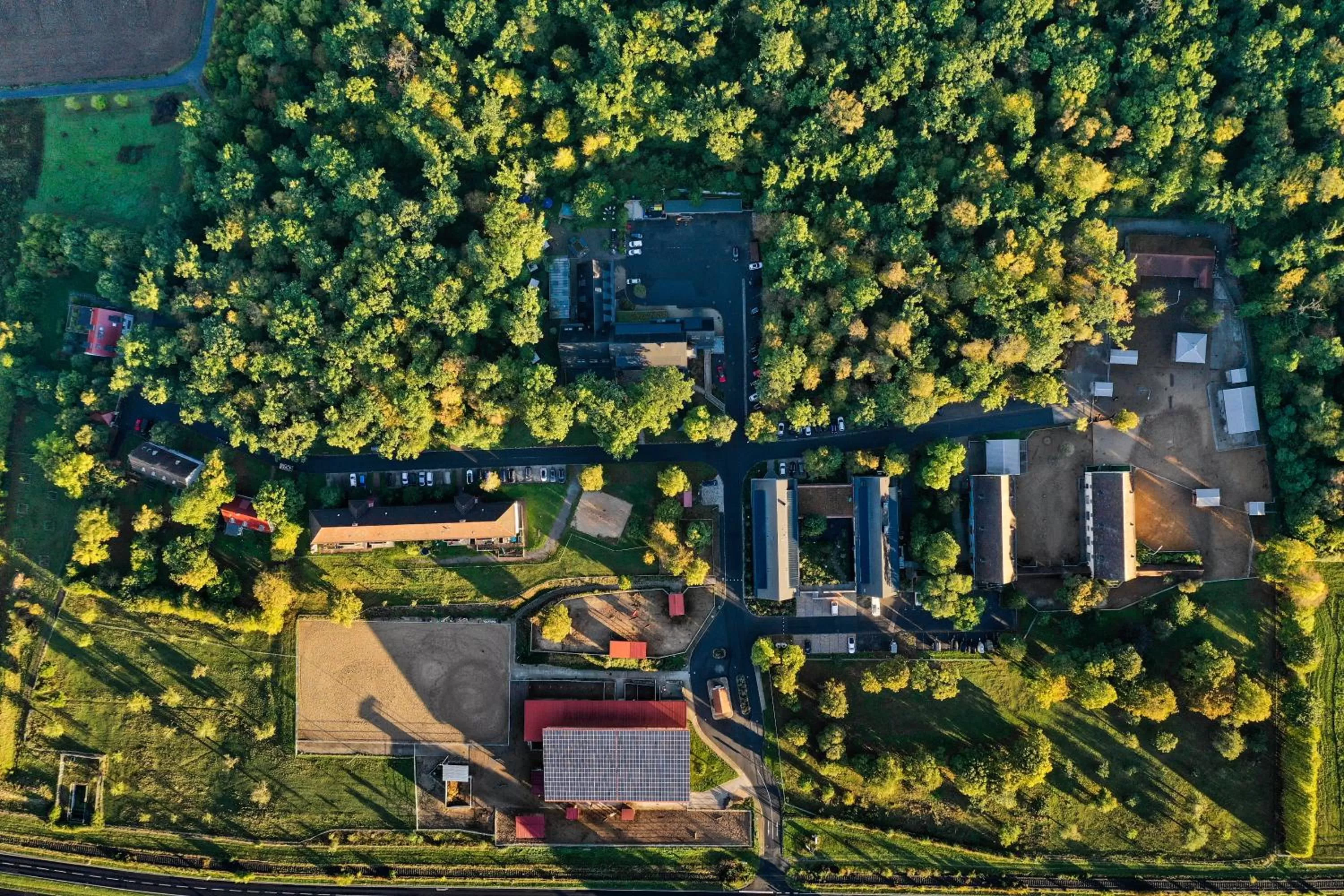 Bird's eye view in Cavallestro Deluxe