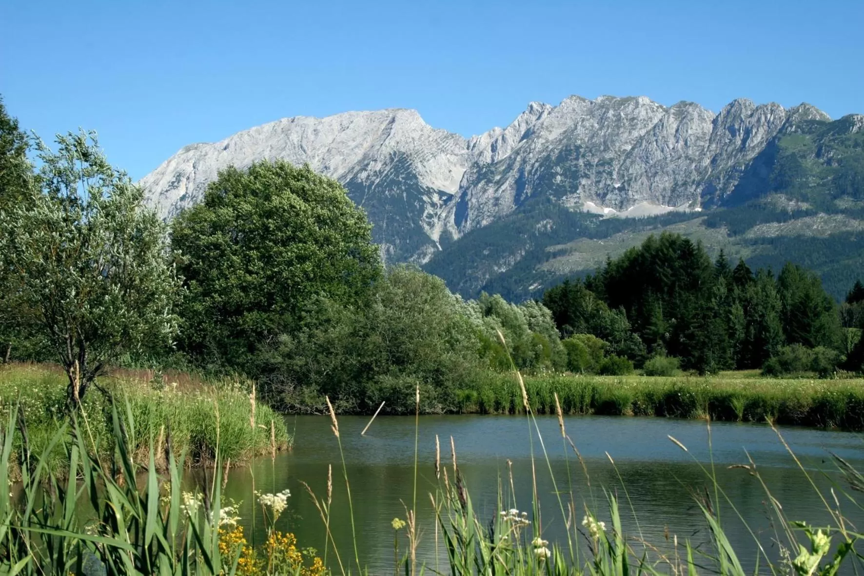 Natural Landscape in SCHÖNIS-Landhotel