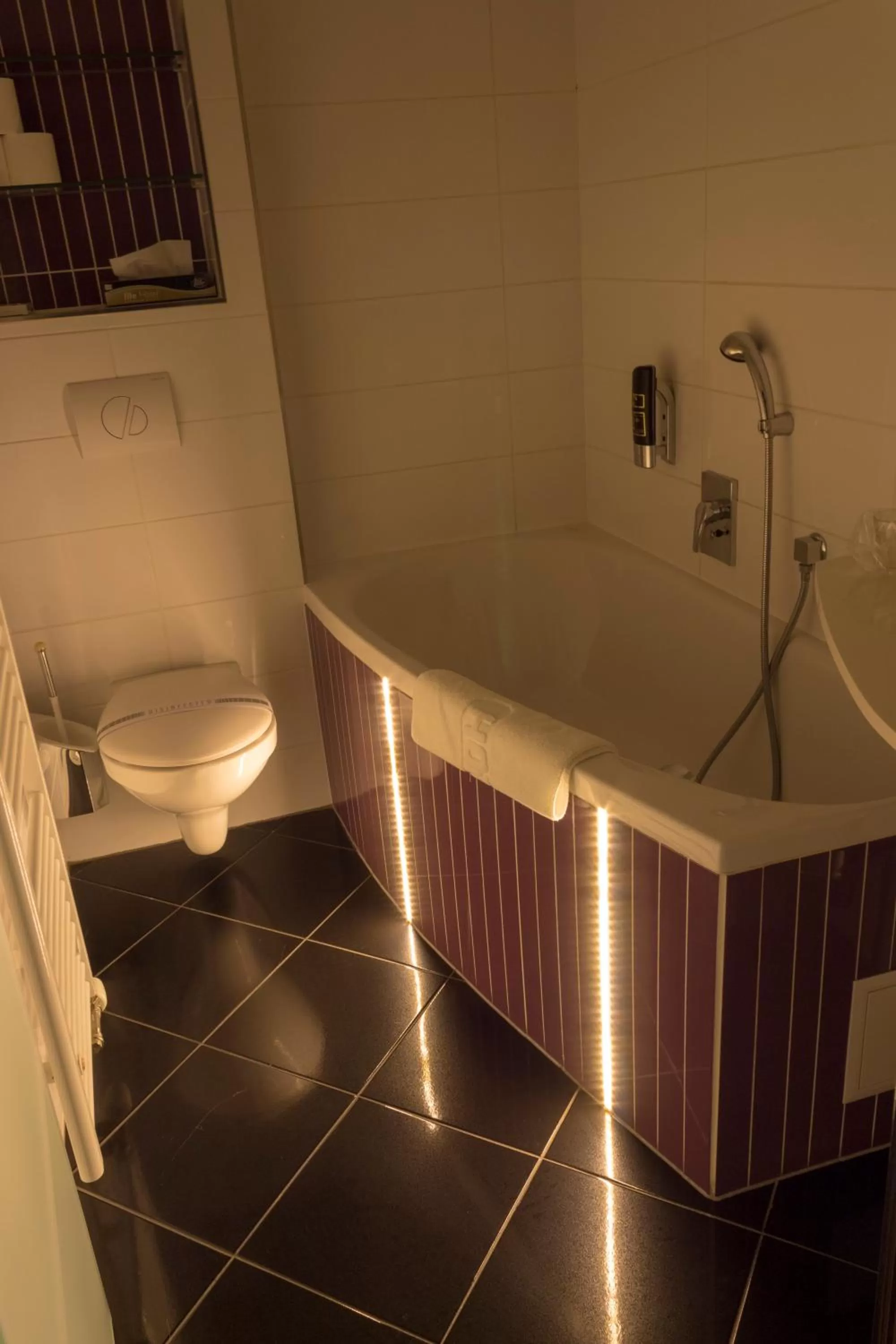 Toilet in Hotel Plzeň