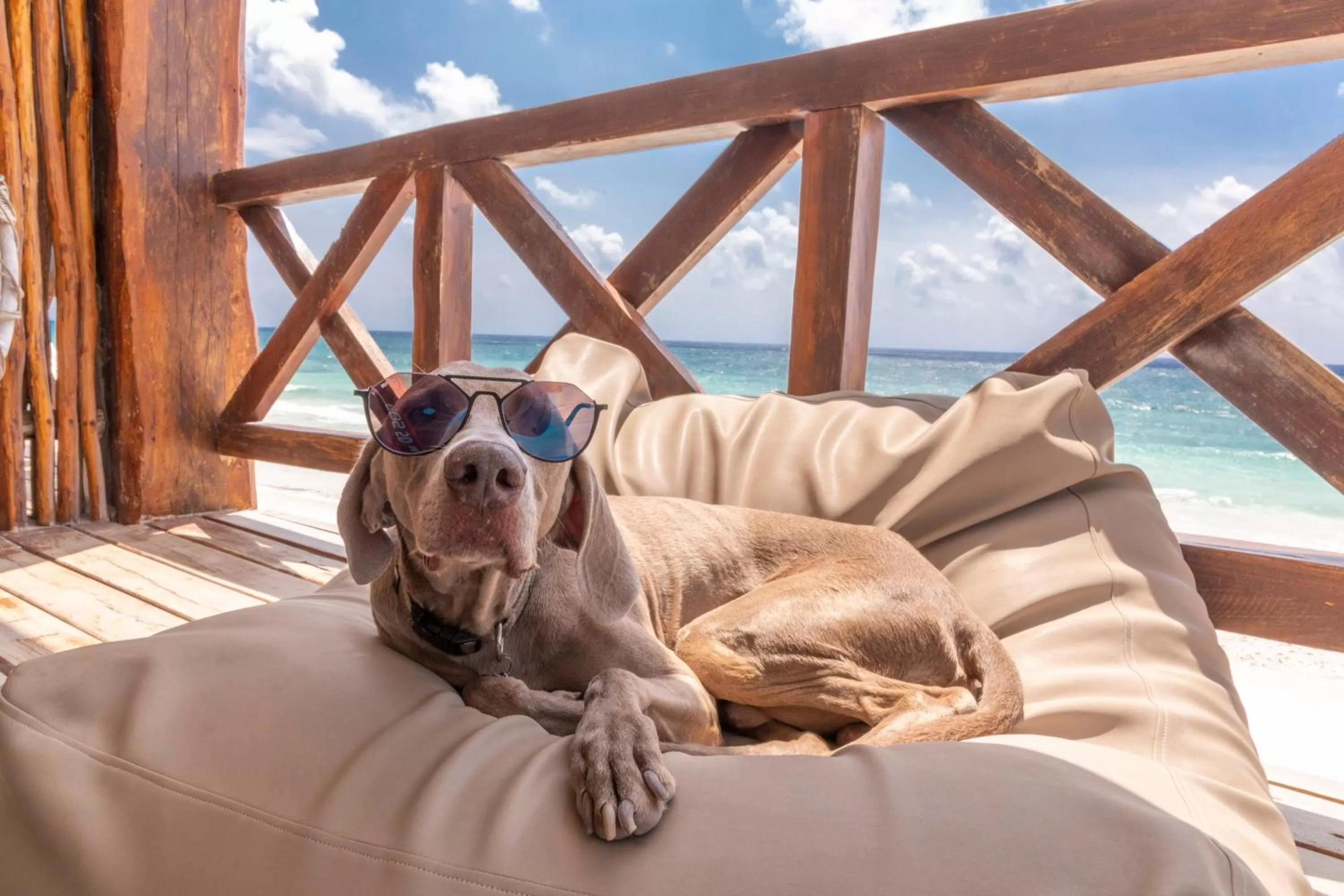 Balcony/Terrace, Pets in Hotelito Azul