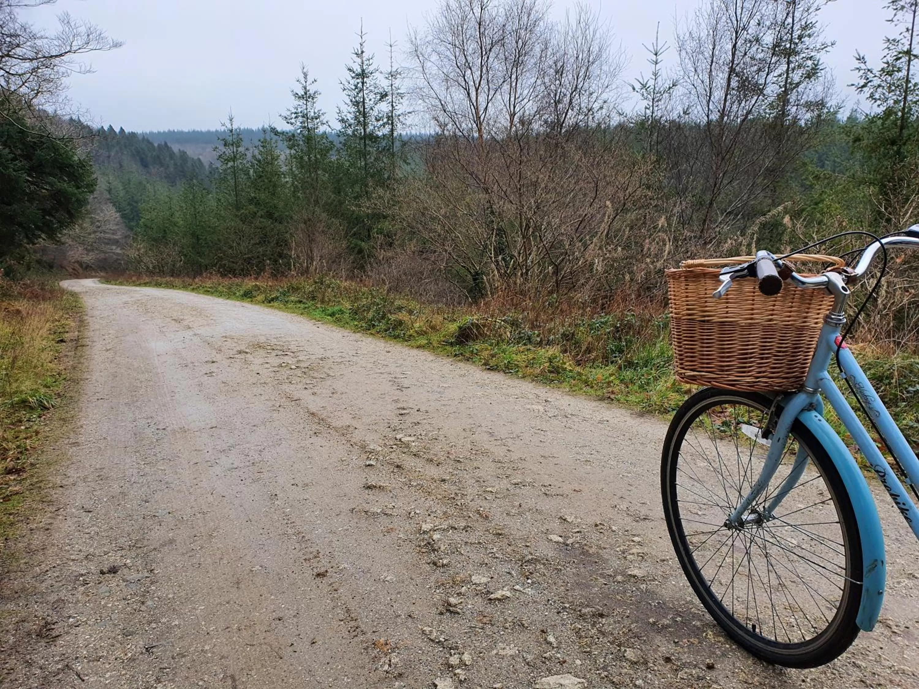 Activities in Hustyns Resort Cornwall