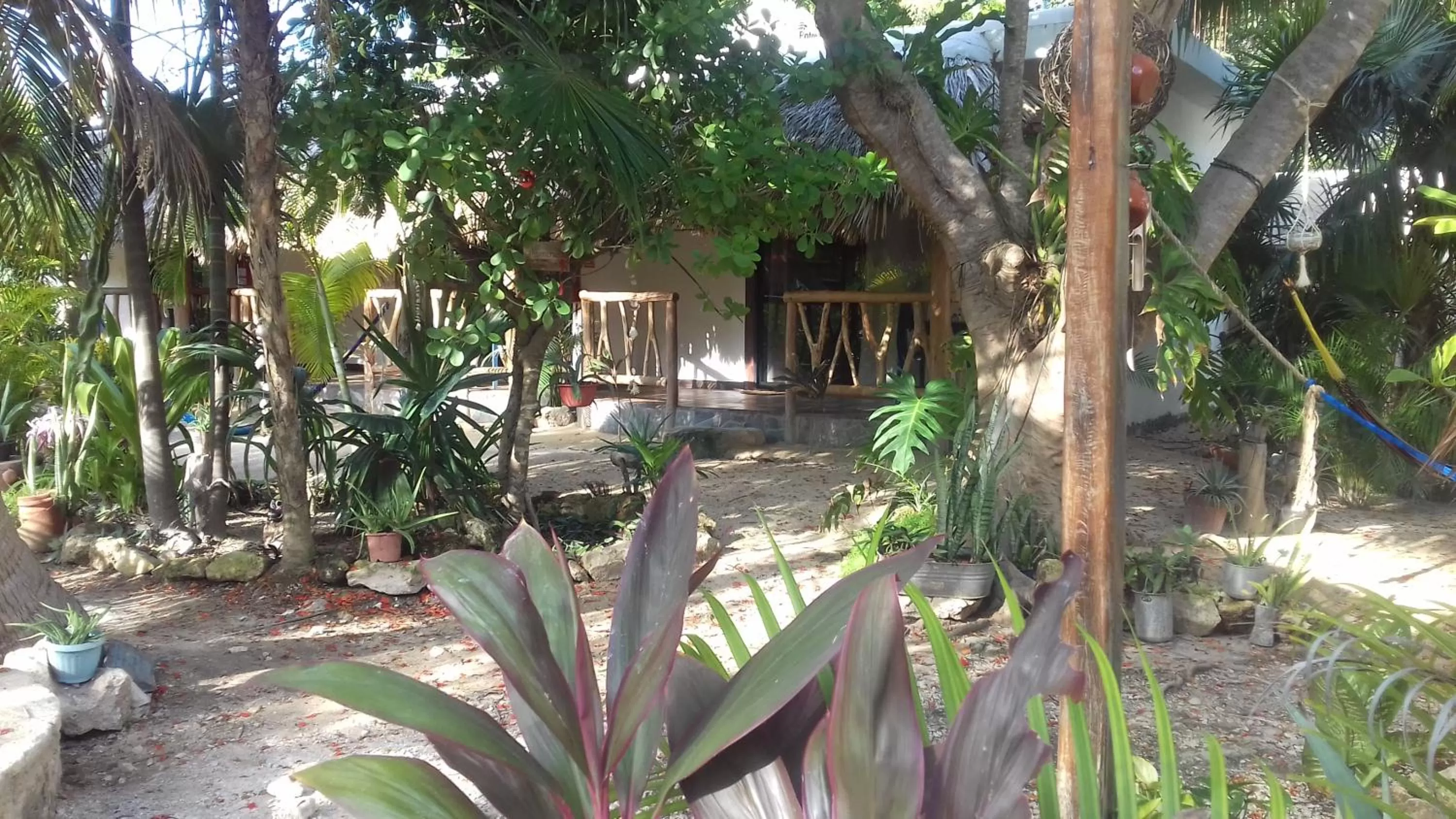 Swimming Pool in Zamunda Garden View