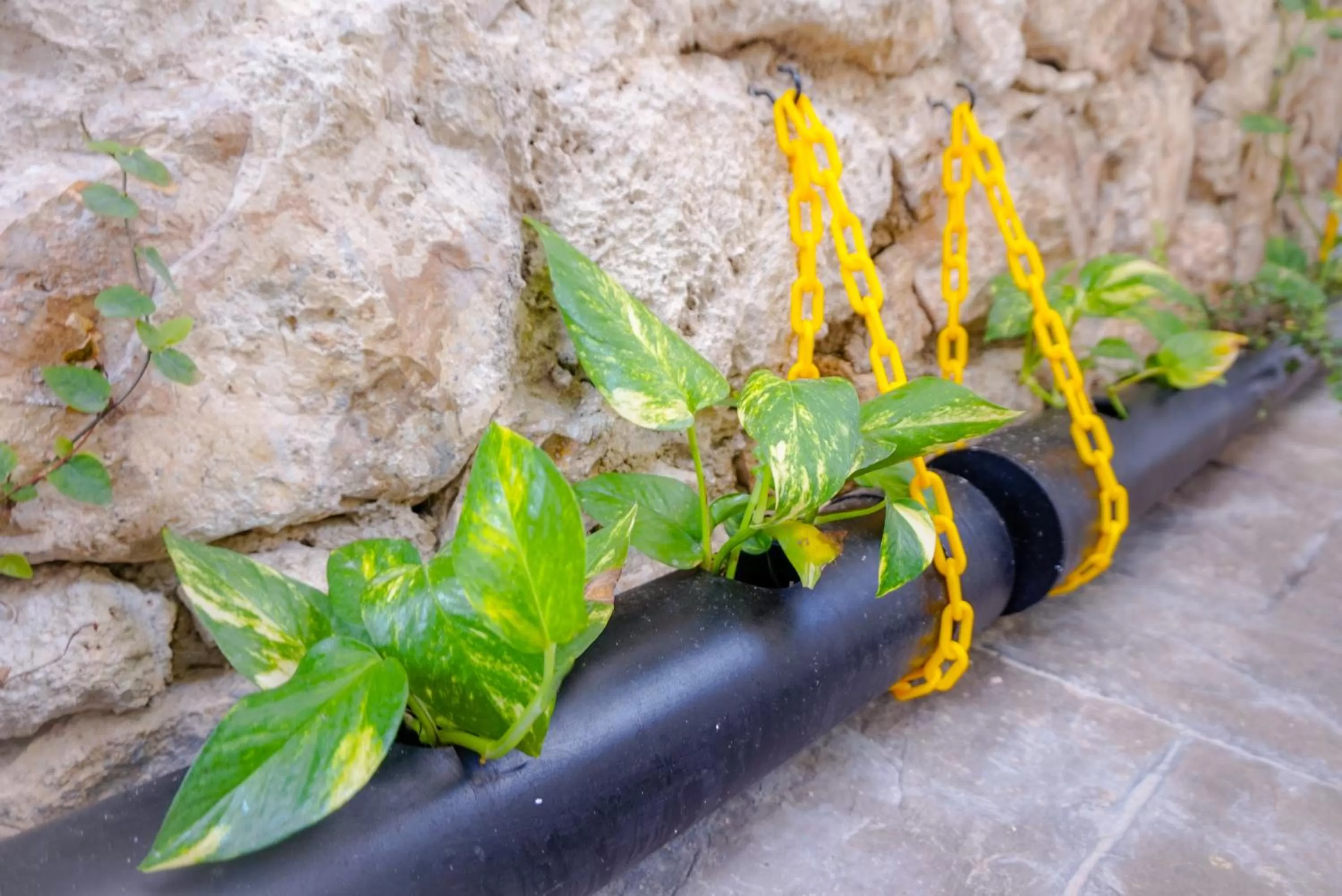 Garden in Les Suites Calle 2 by Galian