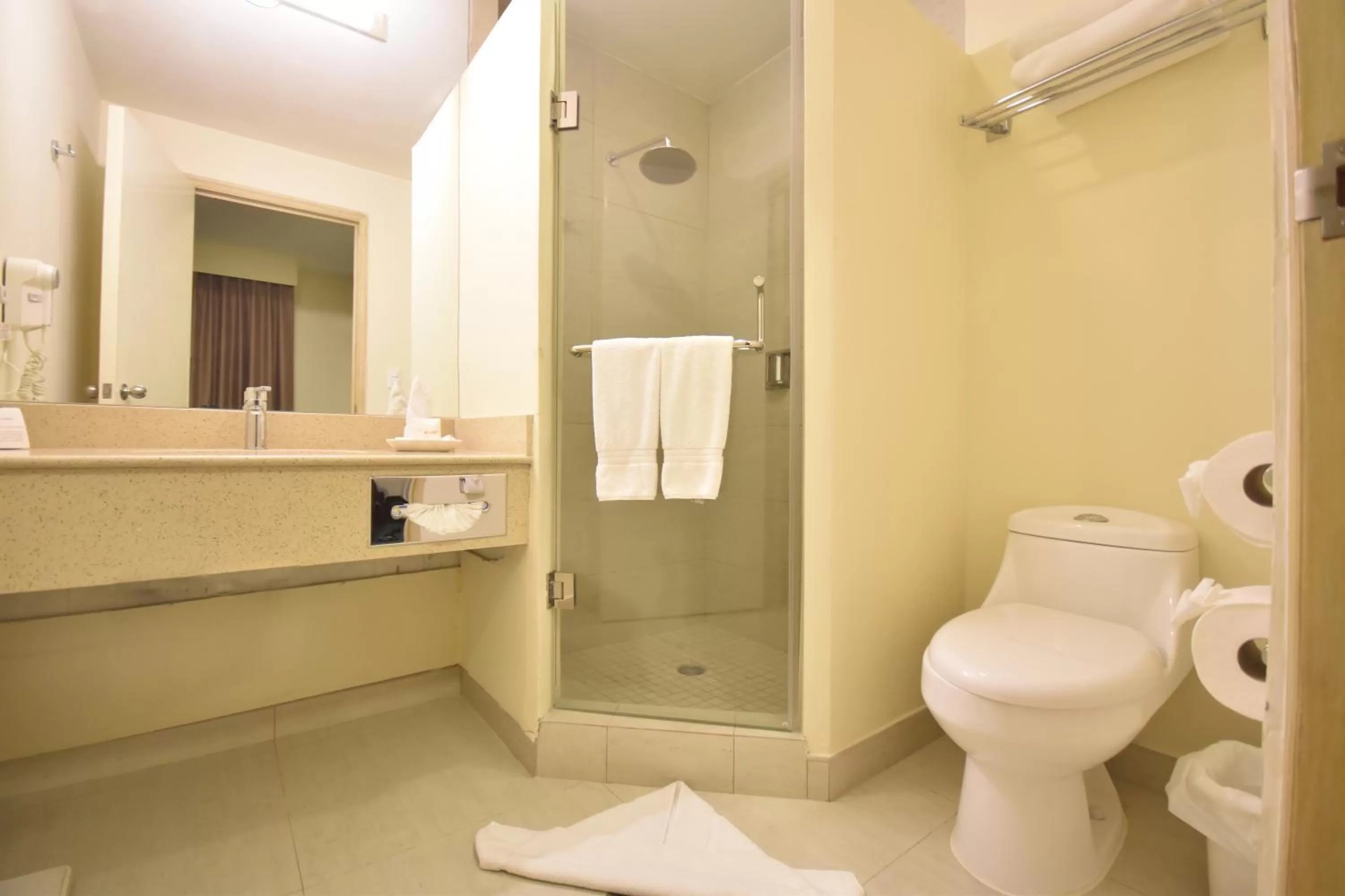 Shower in Best Western Plus Hotel Terraza