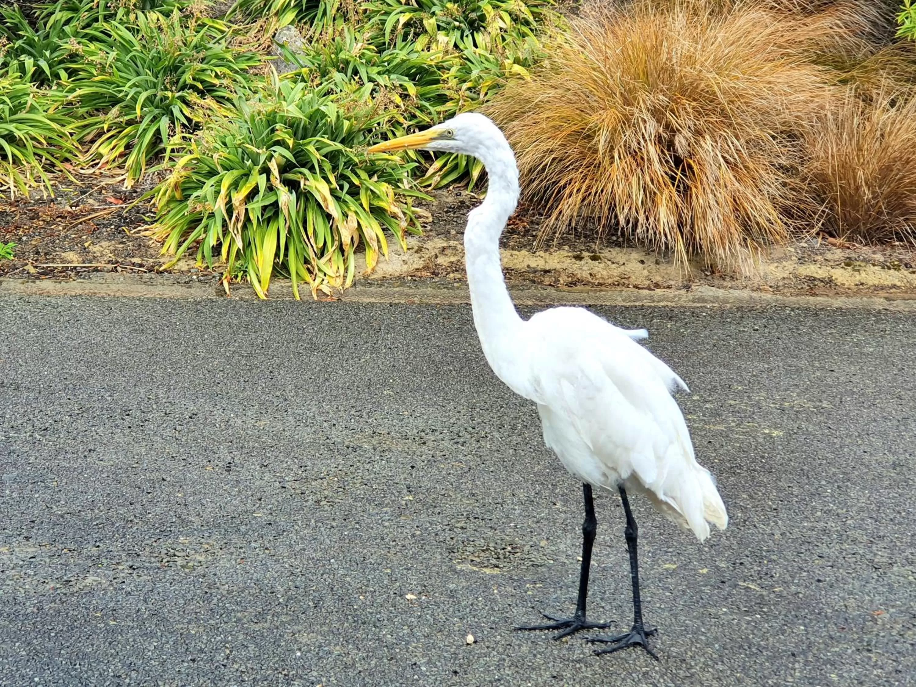Natural landscape in Bay Vista Waterfront Motel