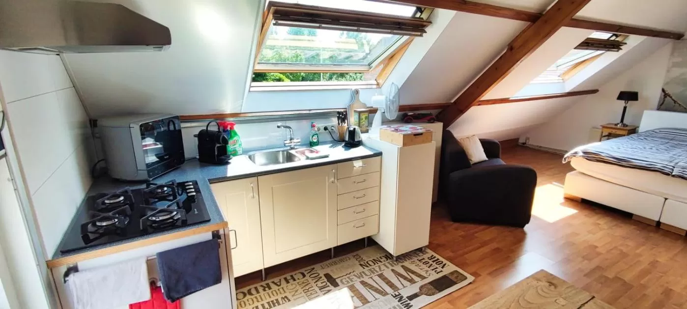 Kitchen/Kitchenette in Logies op Dreef