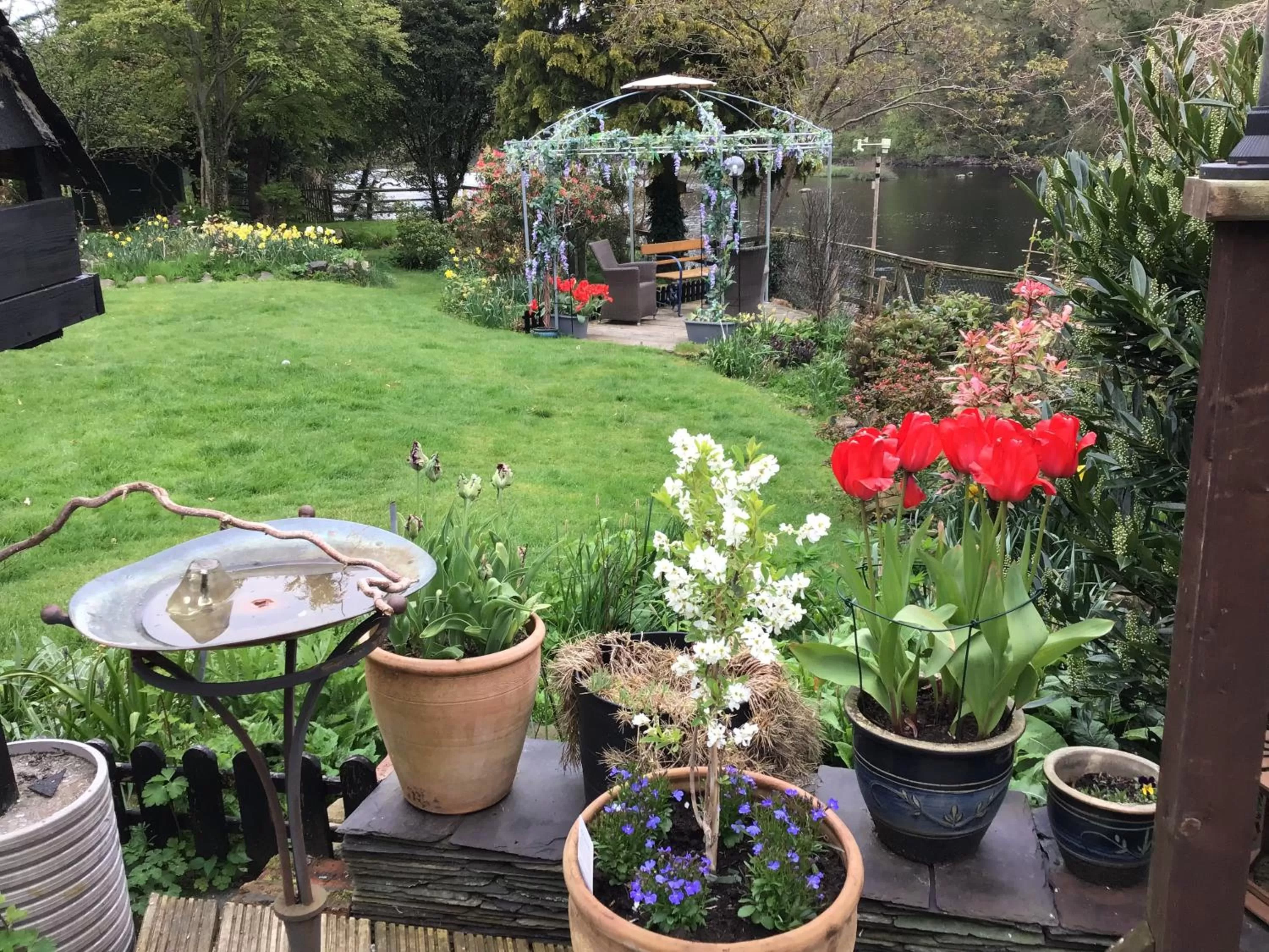 Garden in The Haven B&B