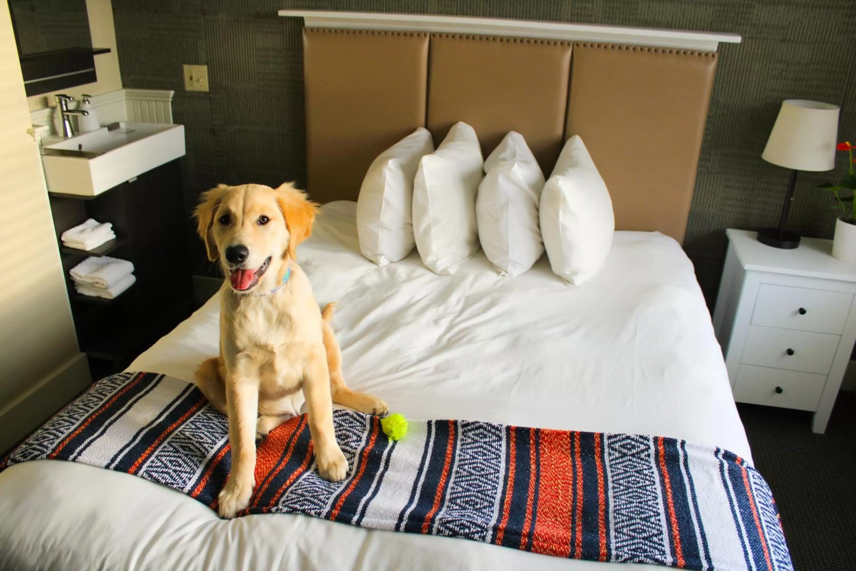 Bed in Pilgrim House