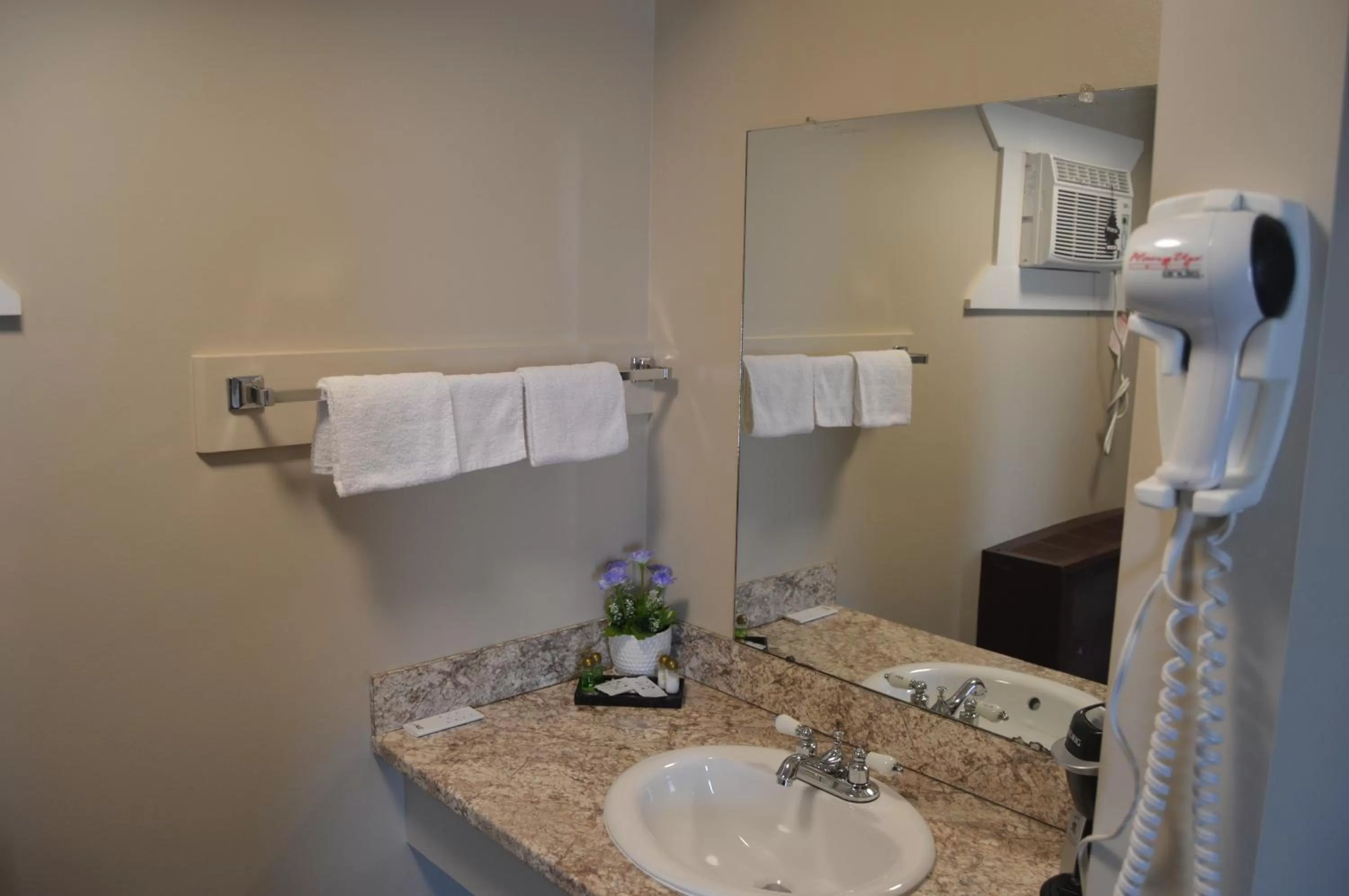 Bathroom in Wheel Inn Motel