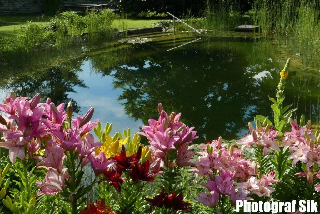 Summer in Gästehaus Pointner