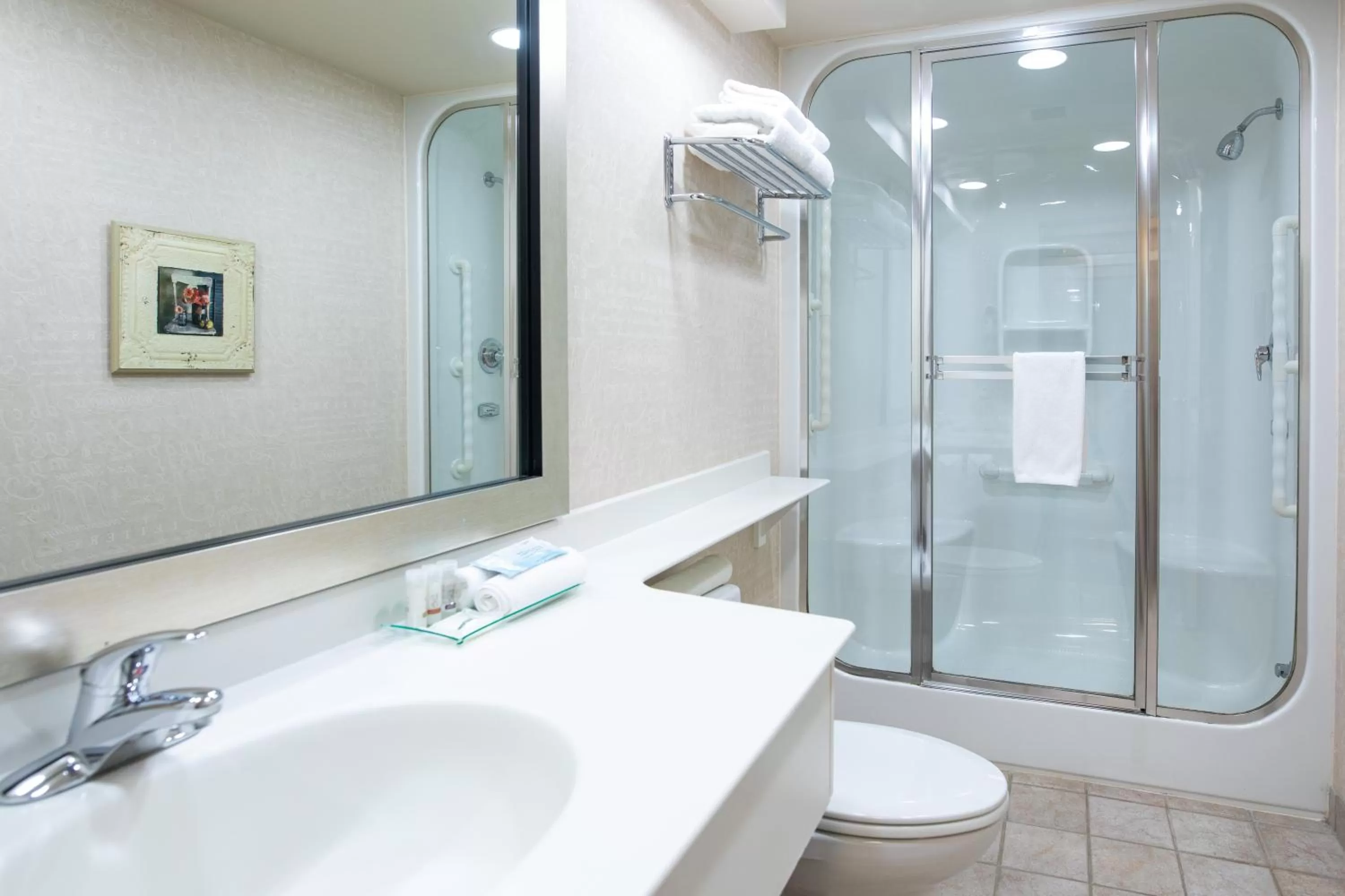 Shower in Royal Hotel West Edmonton, Trademark Collection by Wyndham