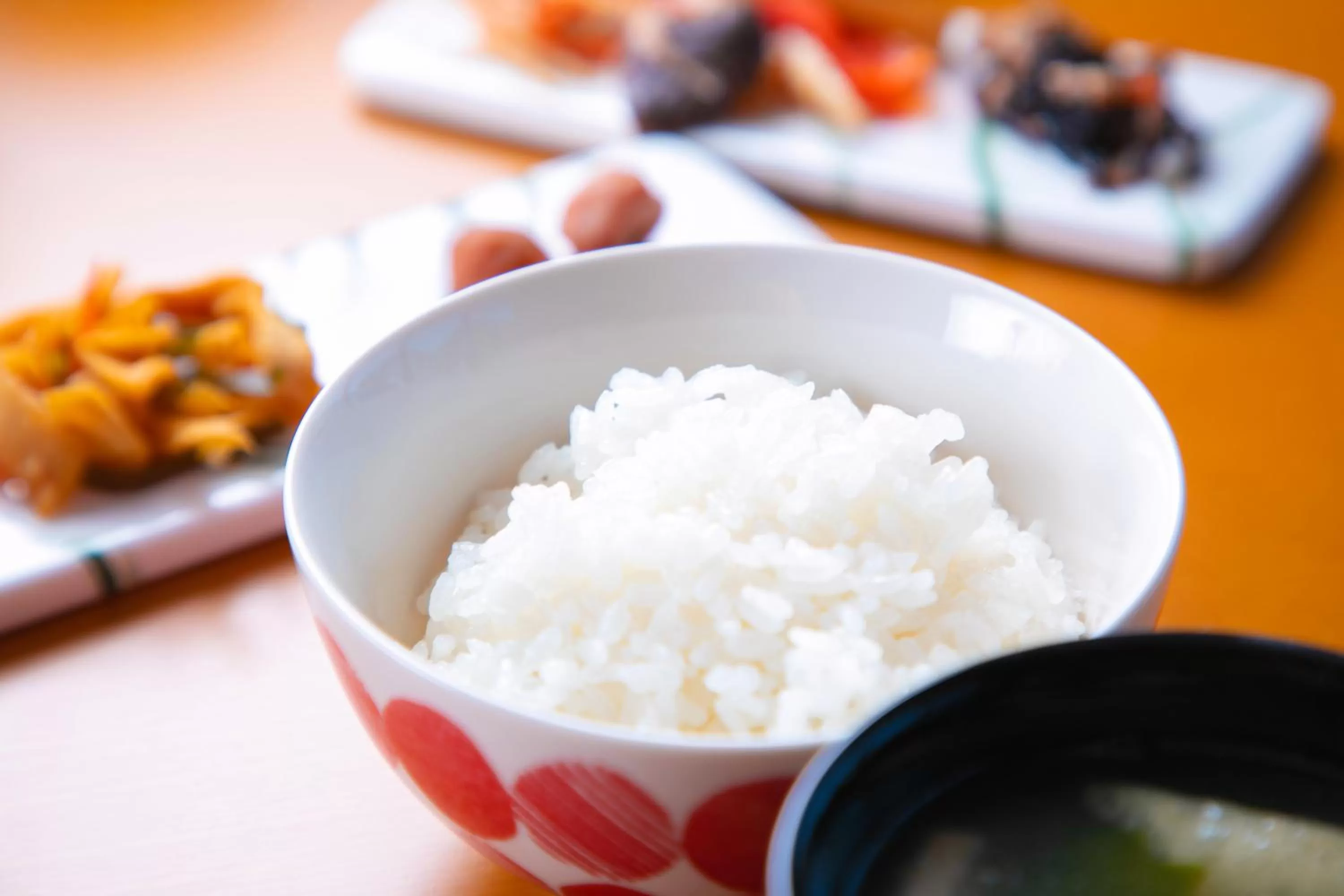 Breakfast in Narita AIC Airport Hotel