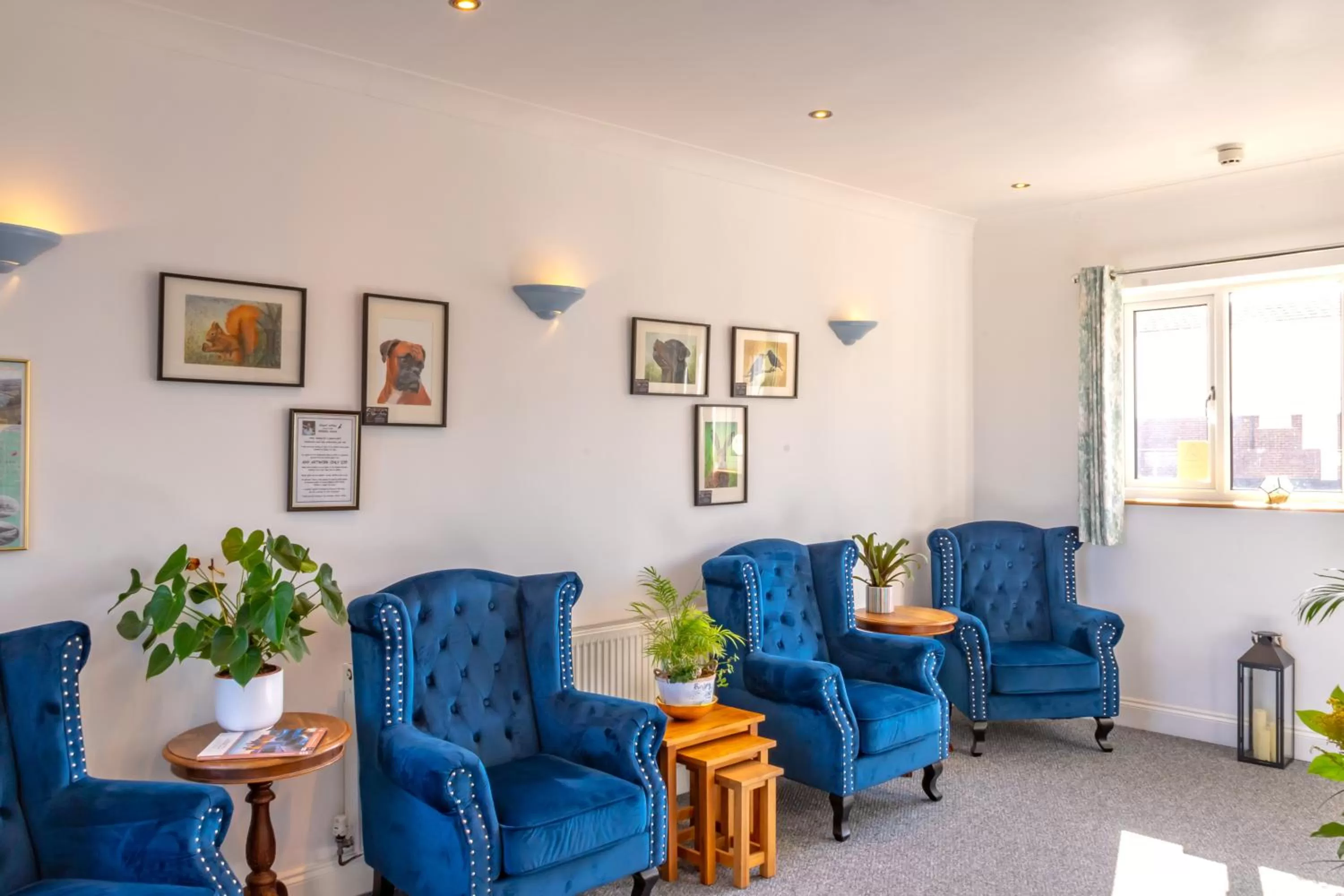 Seating Area in The Shelbourne